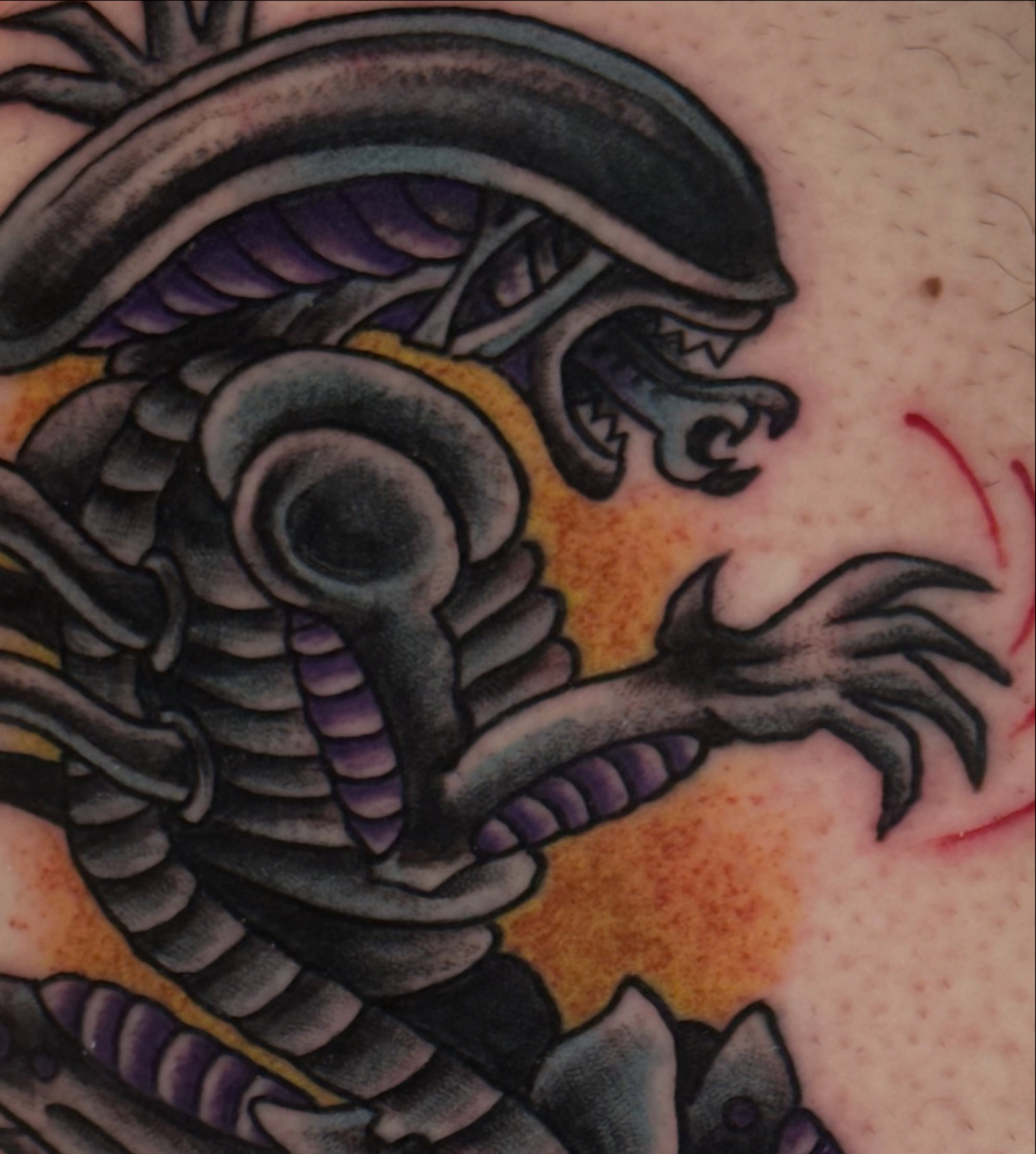 Tattoo by @caitycat.tattoos — black_and_grey, dark_realism