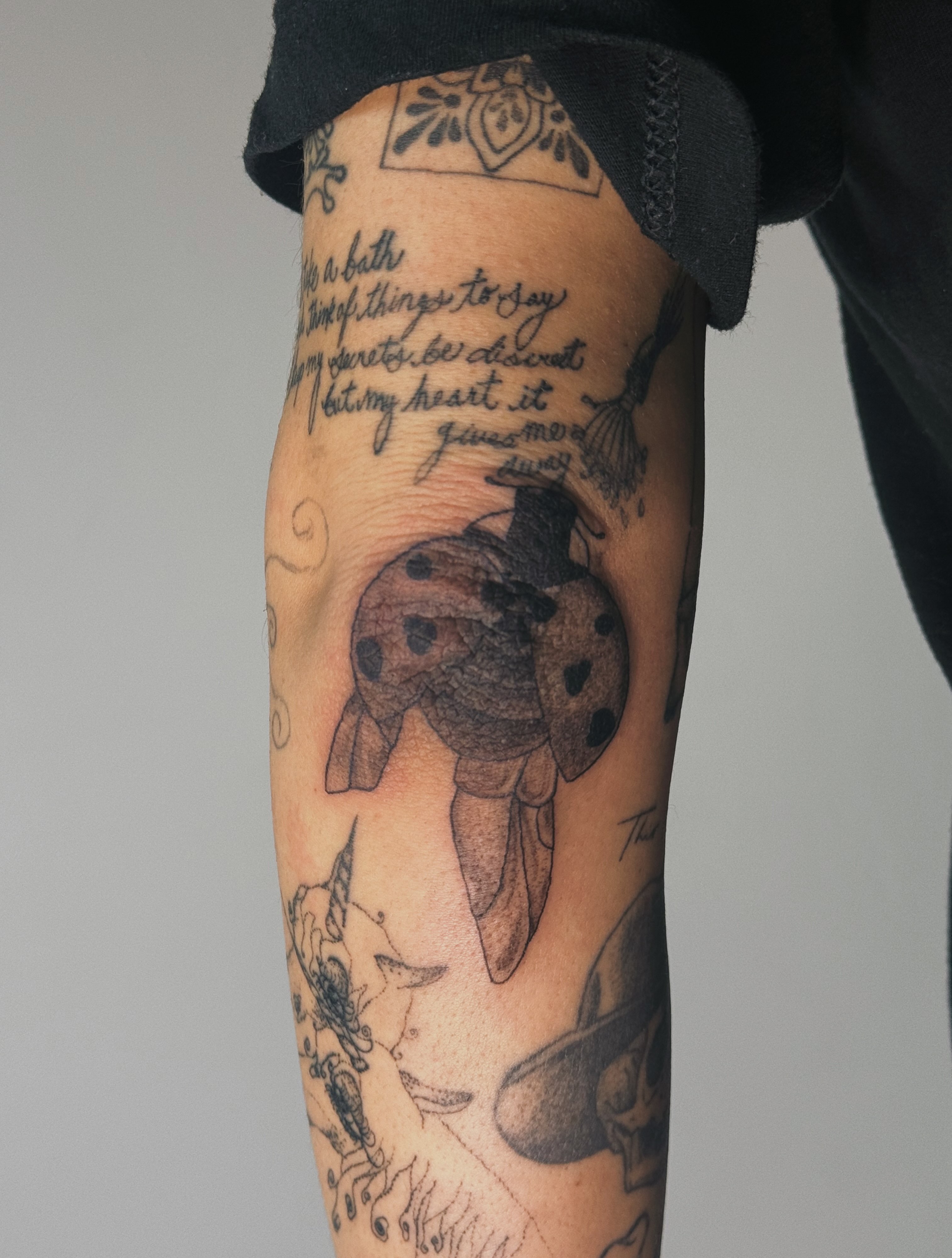 Ladybug black and grey tattoo on the forearm by Paulina Vazquez