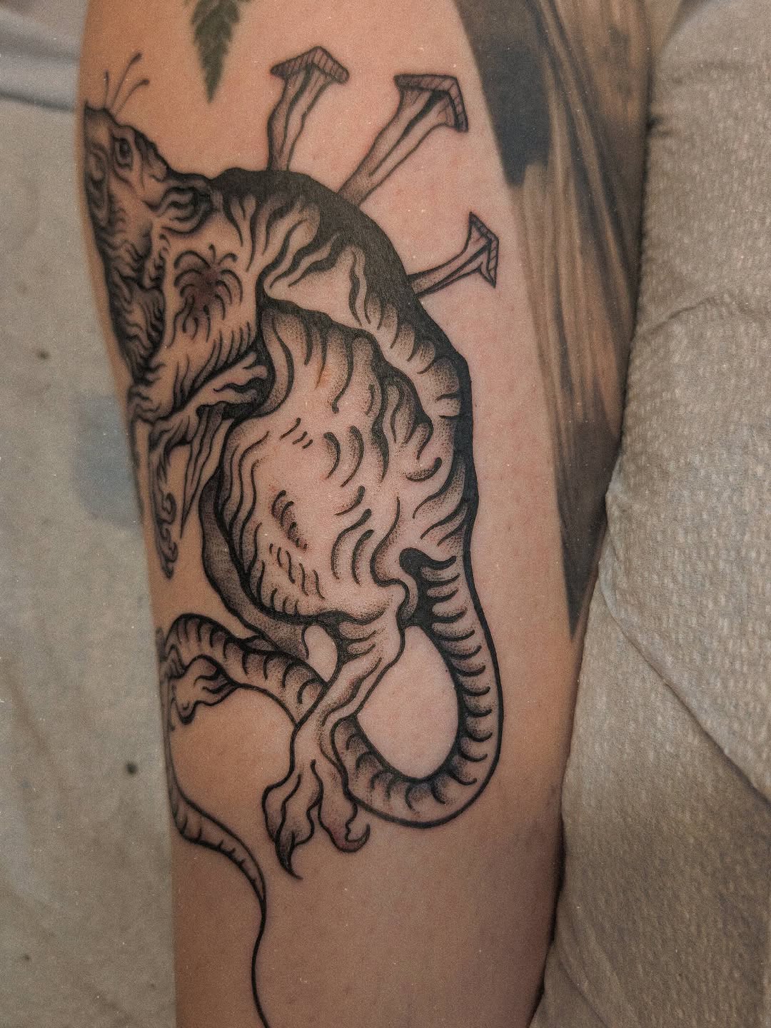 Tattoo by @uprootedtattooing β dotwork, black_and_grey