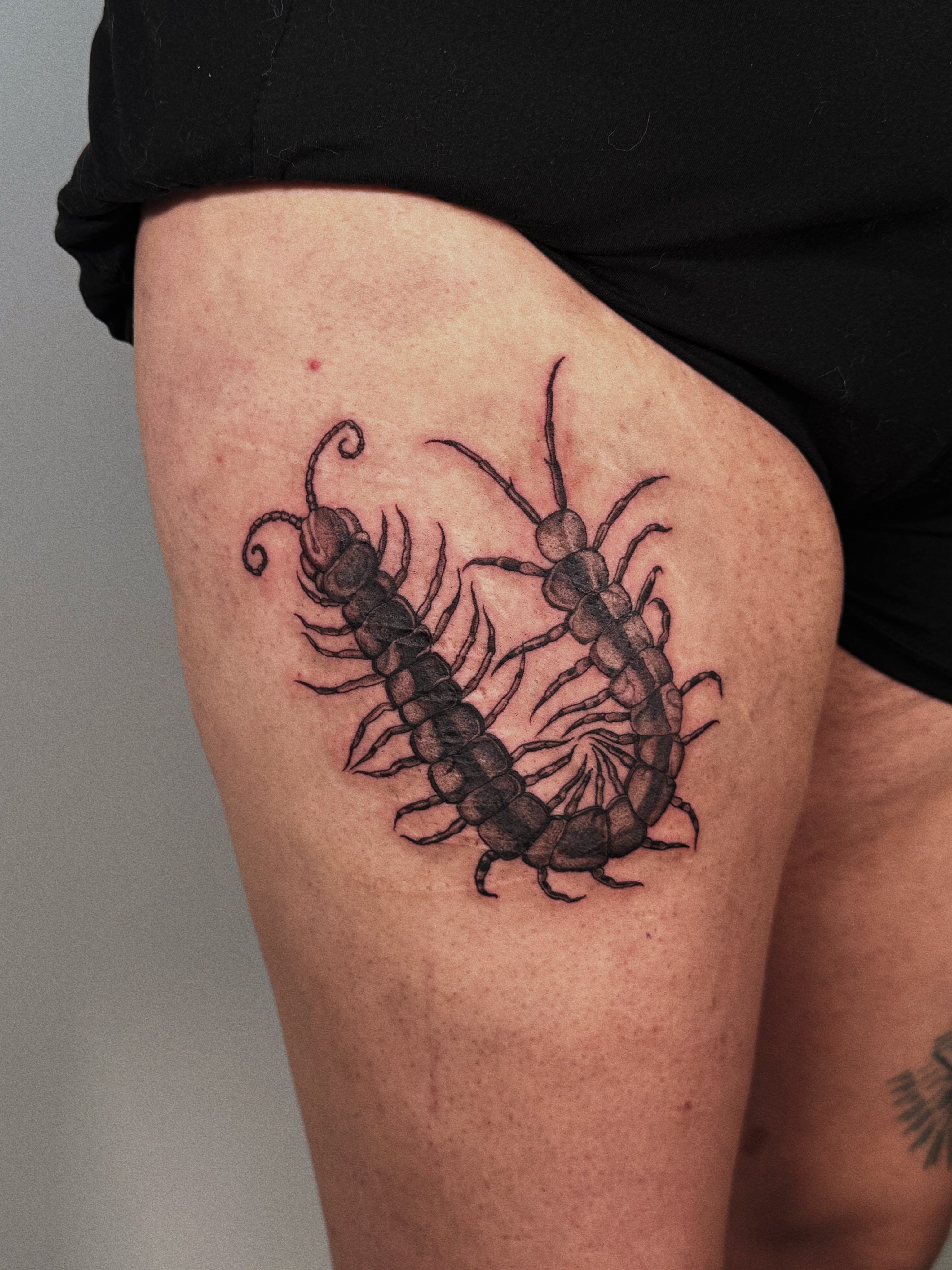 Centipedes black and grey tattoo on the thigh by Paulina Vazquez