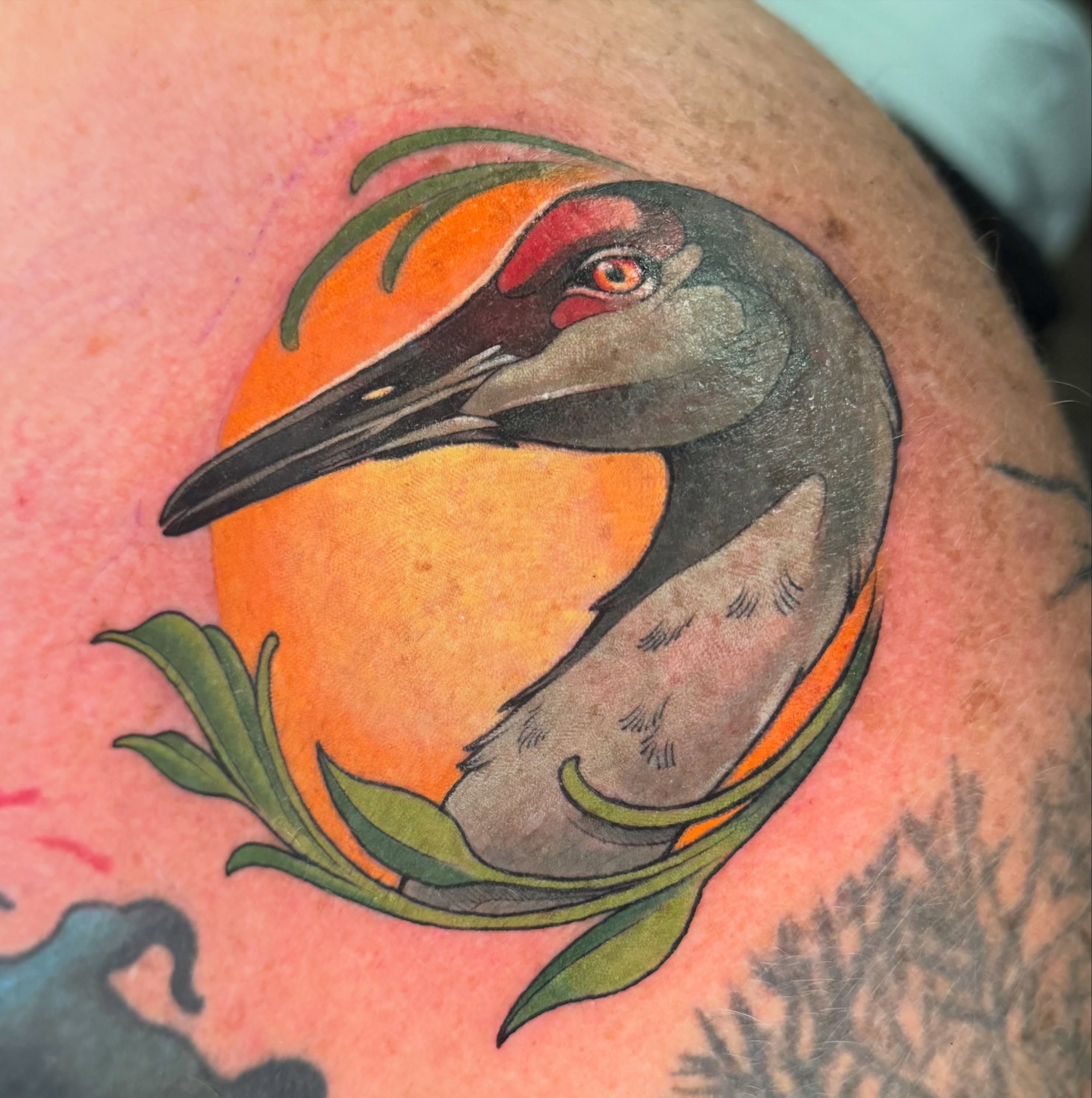 Bird American traditional tattoo on the shoulder by Bri