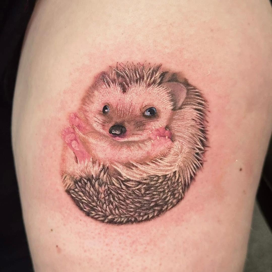 Hedgehog realism tattoo on the upper arm by Victoria Parsons, Clarksville, Indiana