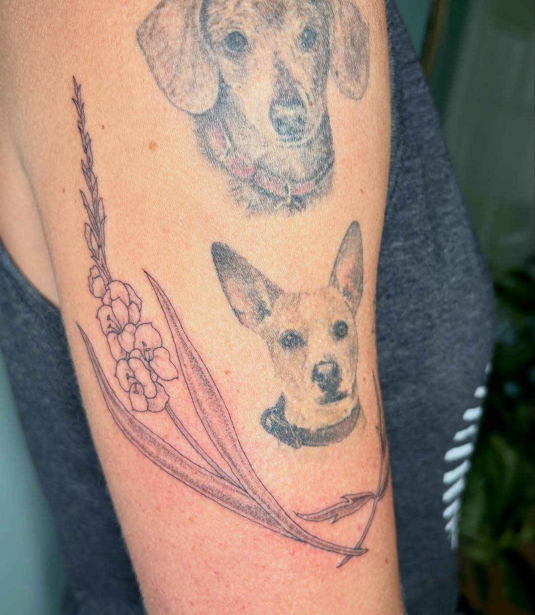 Dog portraits realism tattoo on the forearm by Sarah Roach