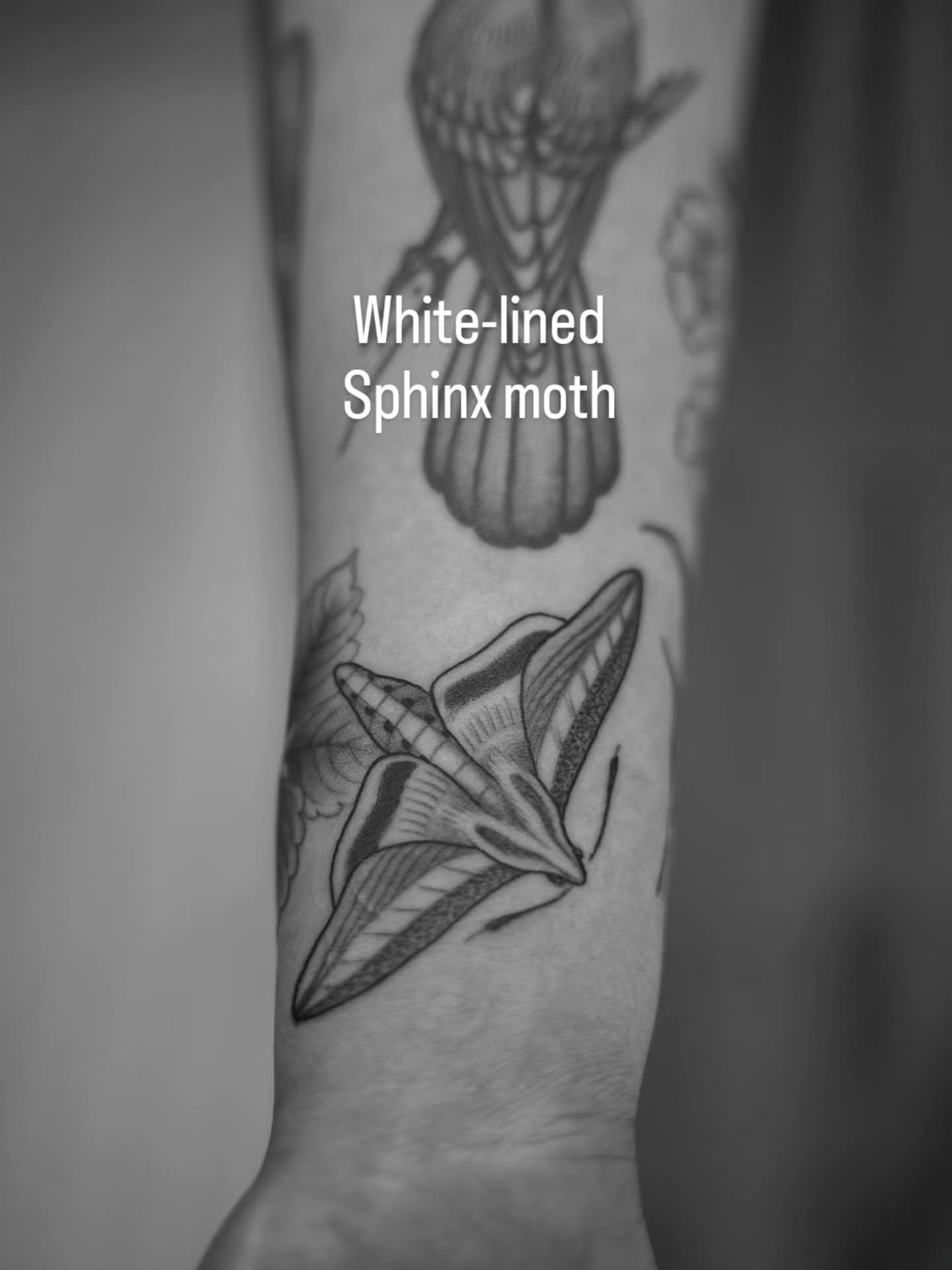 Tattoo by @bramadey — black_and_grey