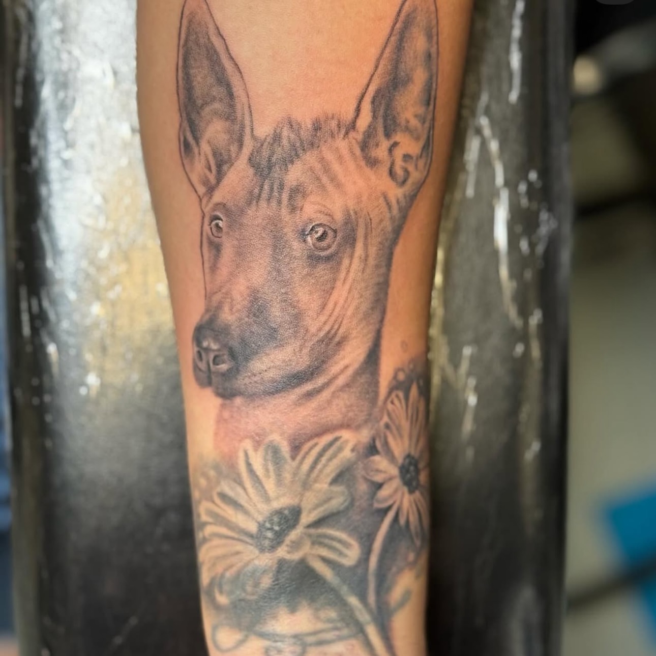 Dog with flowers realism tattoo on the forearm by Monica Gonzalez