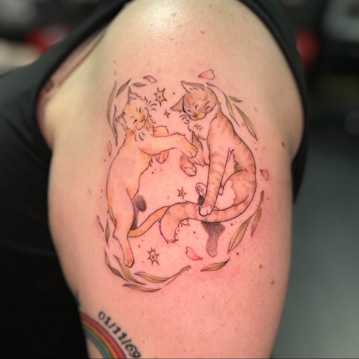 Three cats watercolor tattoo on the shoulder by Maara Martinez