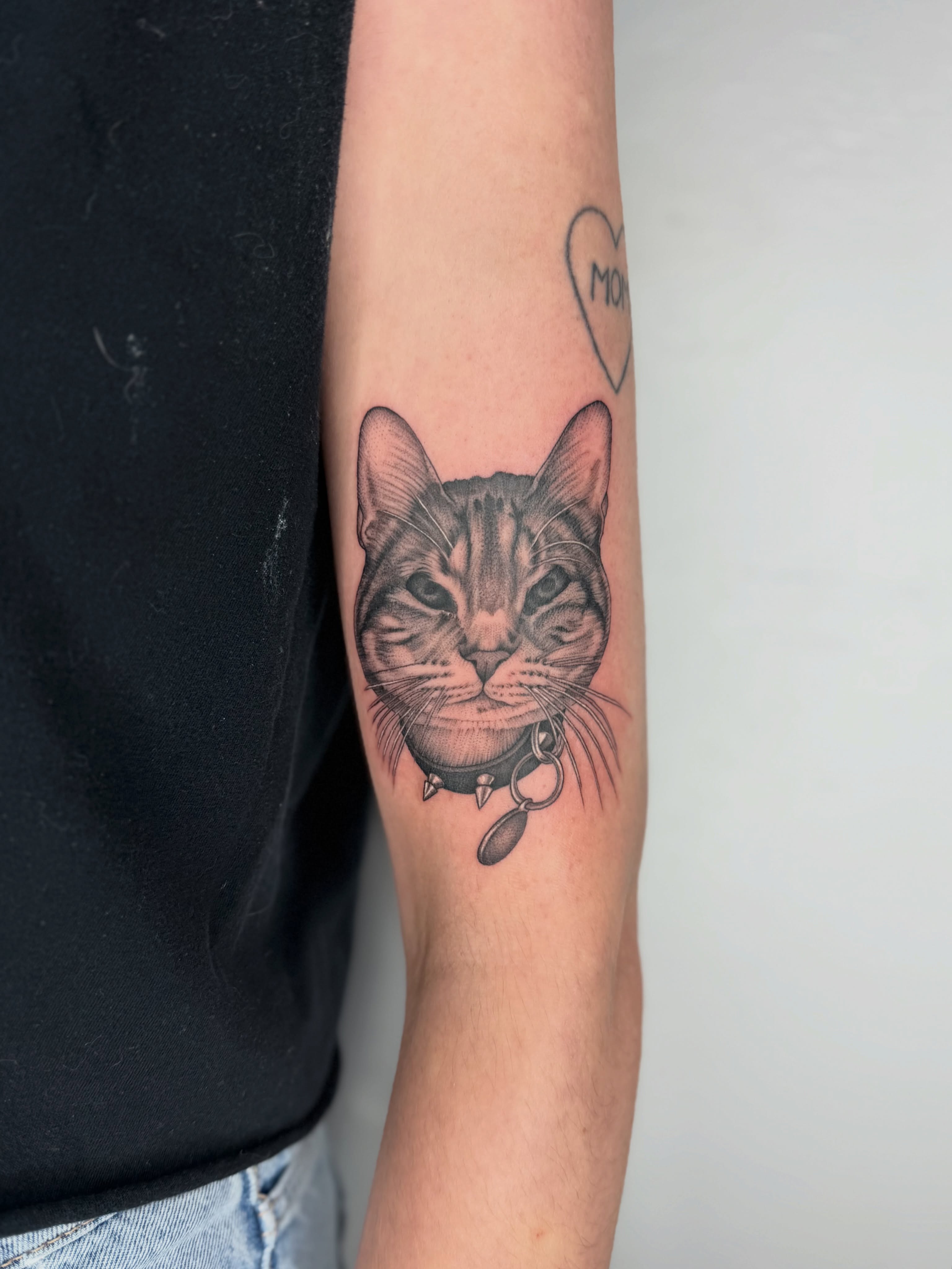Cat realism tattoo on the forearm by Rose