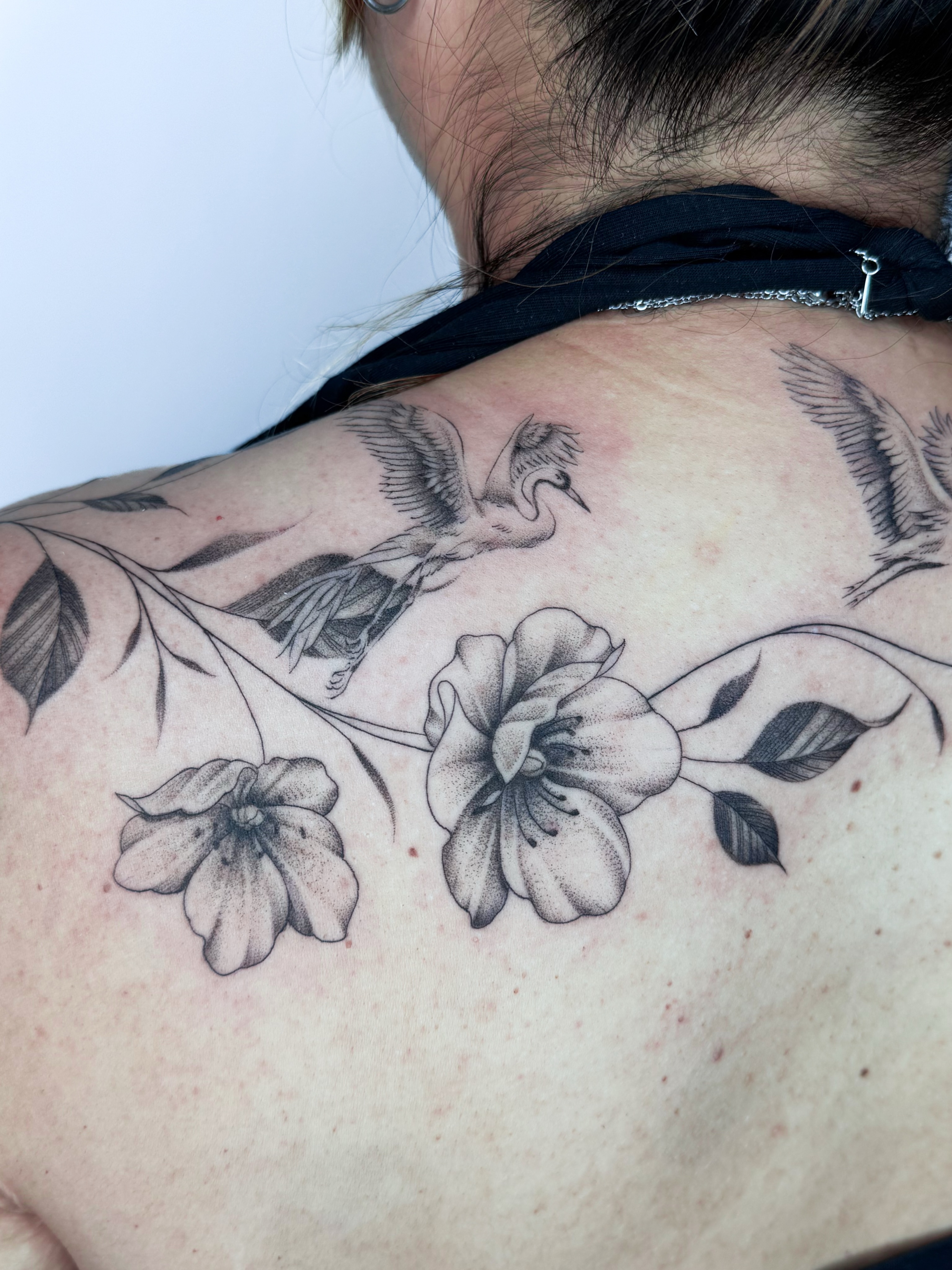 Flowers and birds dotwork tattoo on the shoulder by @nudylicioustattoos