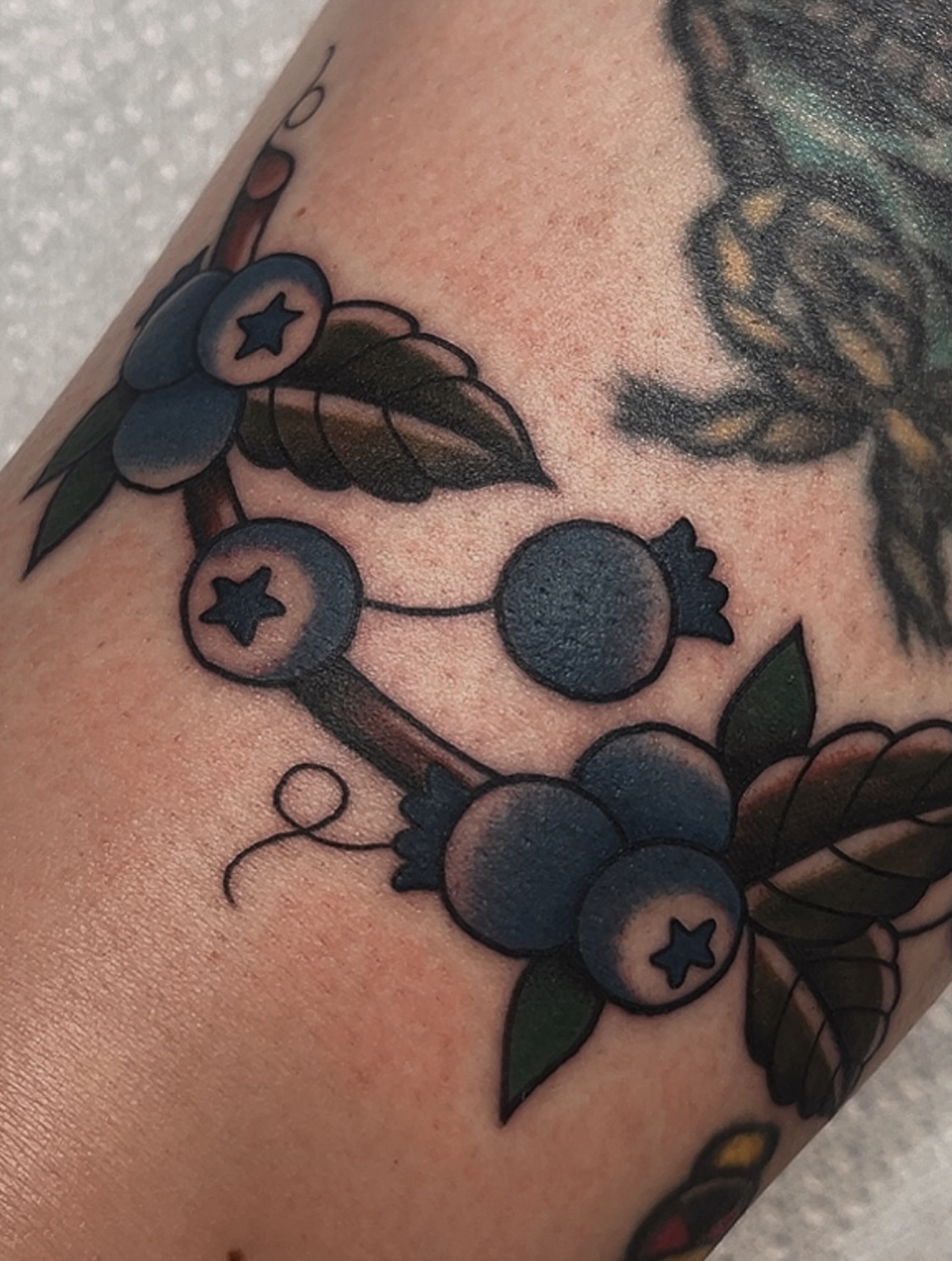 Blueberries American traditional tattoo on the forearm by Las Vegas Tattoo Artist