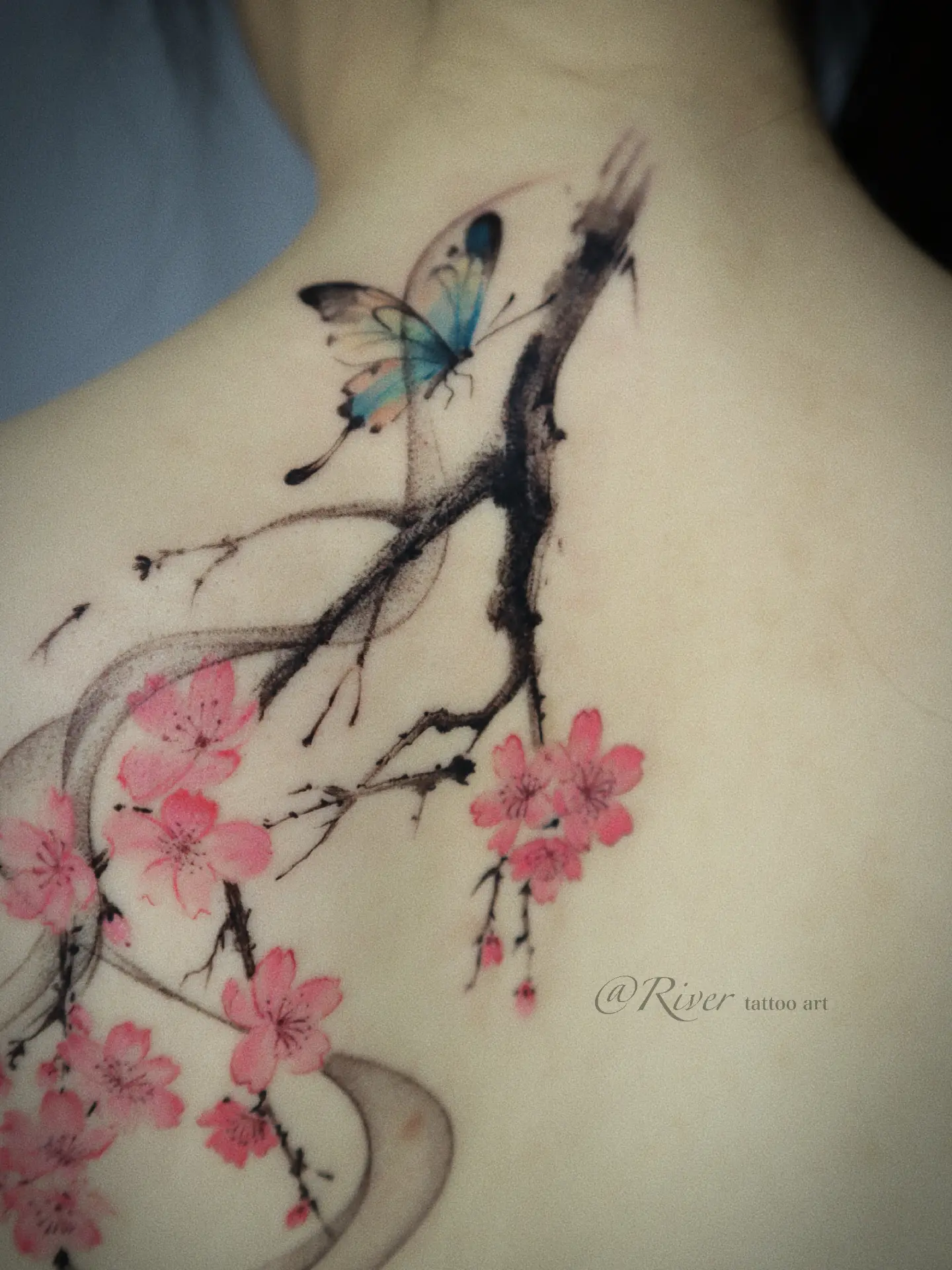 Cherry blossoms and butterfly watercolor tattoo on the back by River
