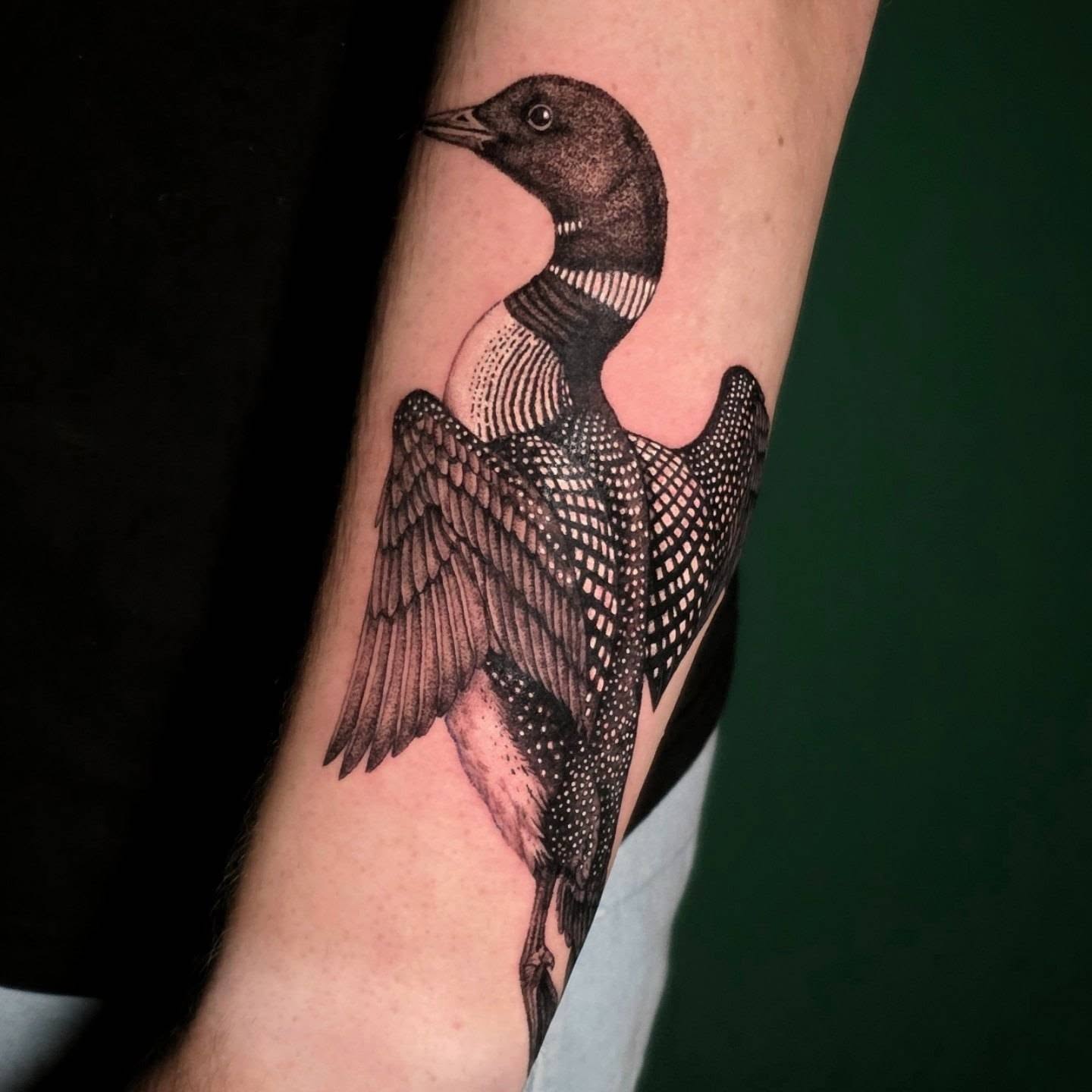 Loon dotwork tattoo on the forearm by Nick de Hoyos