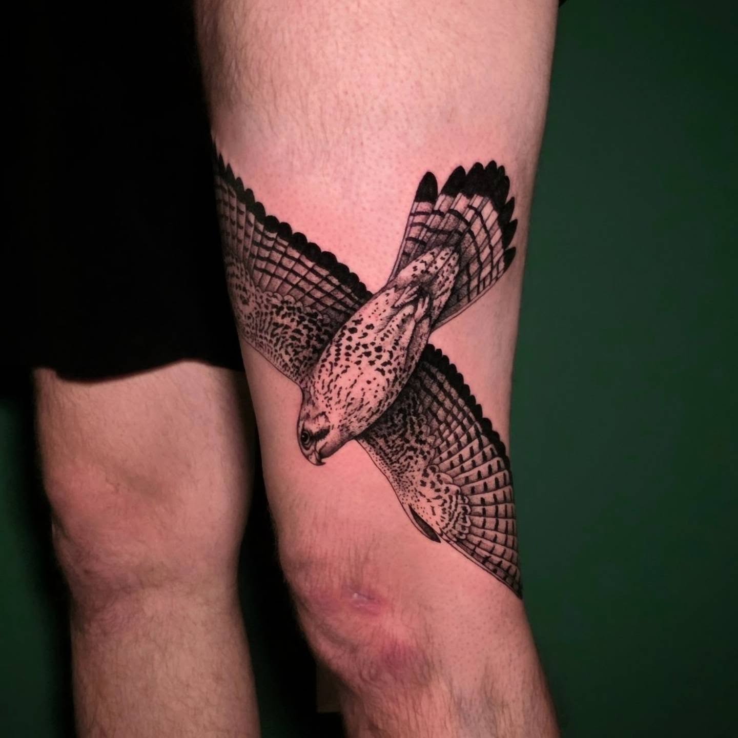 Hawk black and grey tattoo on the forearm by Nick de Hoyos