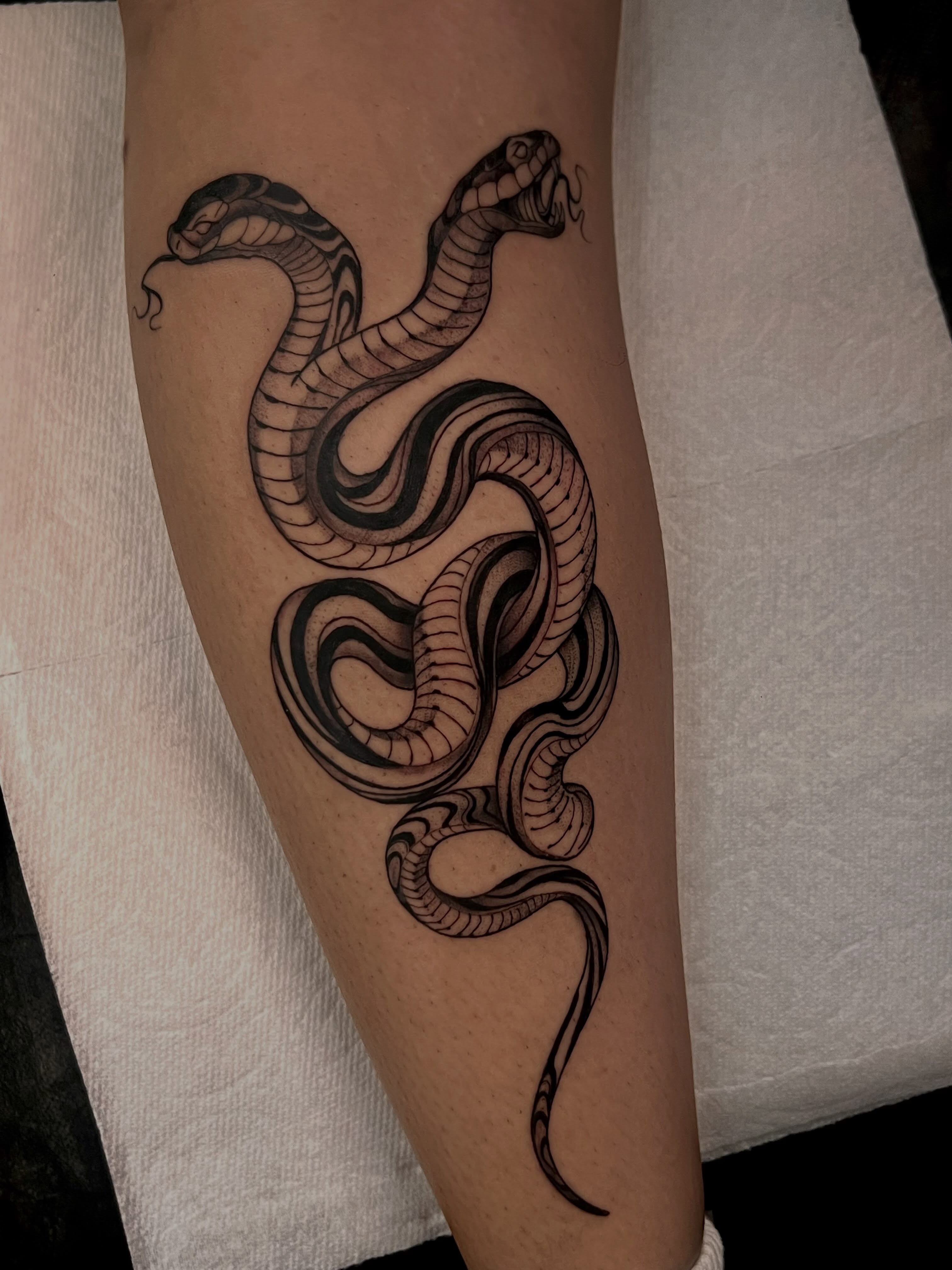 Snake black and grey tattoo on the forearm by 𝙻𝚒𝚊 𝙹𝚎𝚙𝚙𝚎𝚜𝚎𝚗