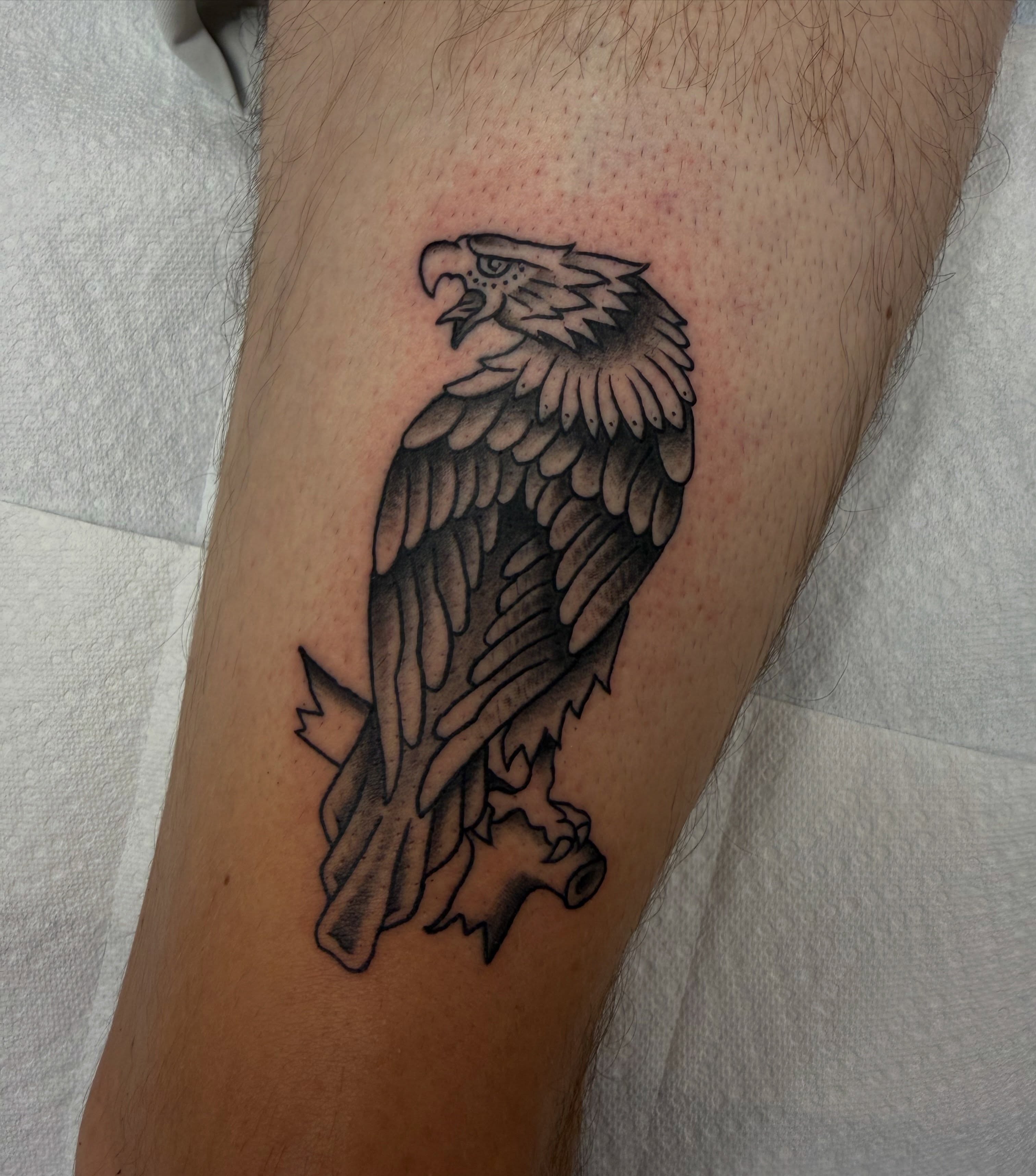 Eagle black and grey tattoo on the forearm by Anthony Fondi Maine tattoo artist