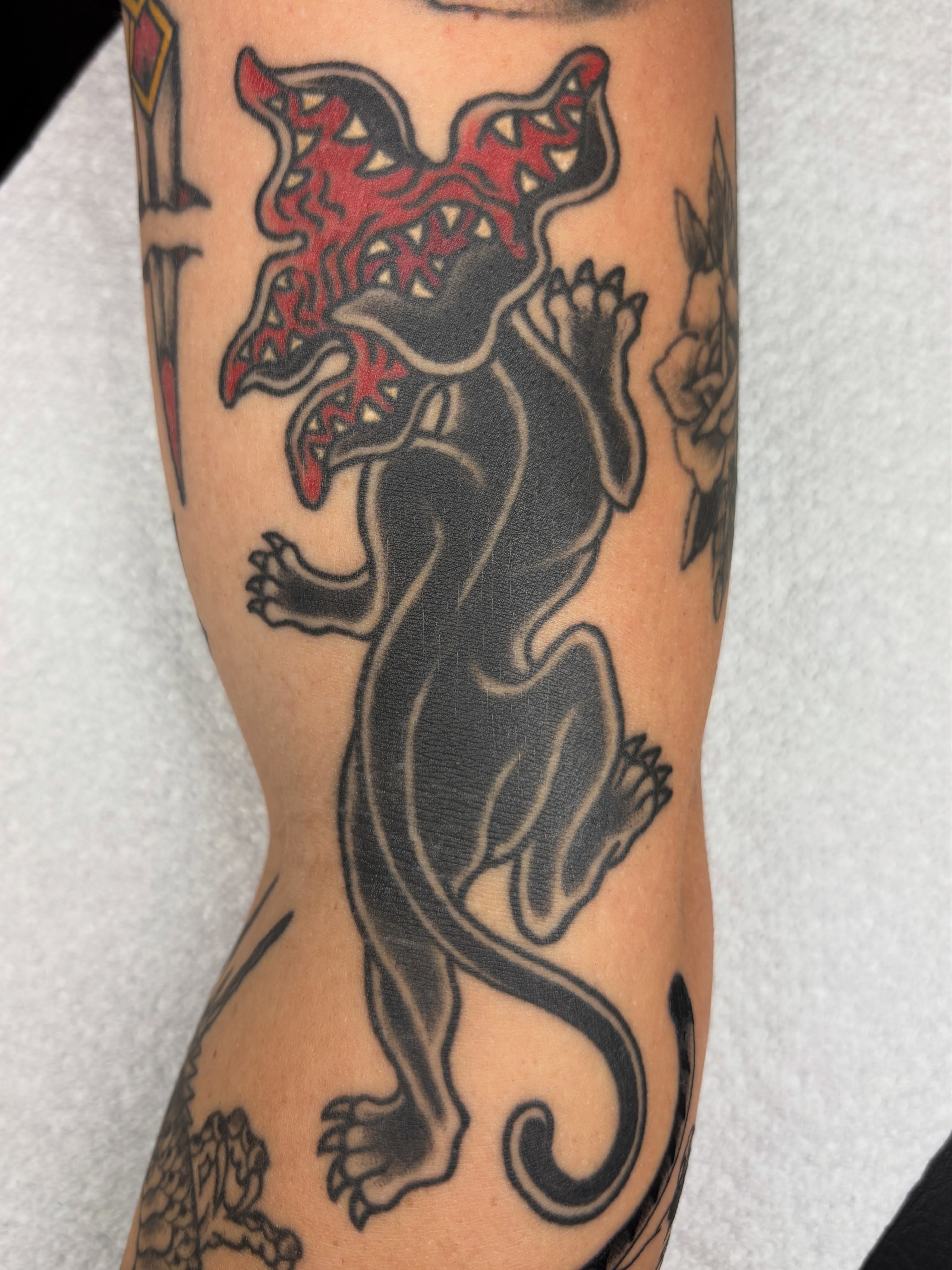 Lion American traditional tattoo on the forearm by Jamie Yuu, Minneapolis, Minnesota