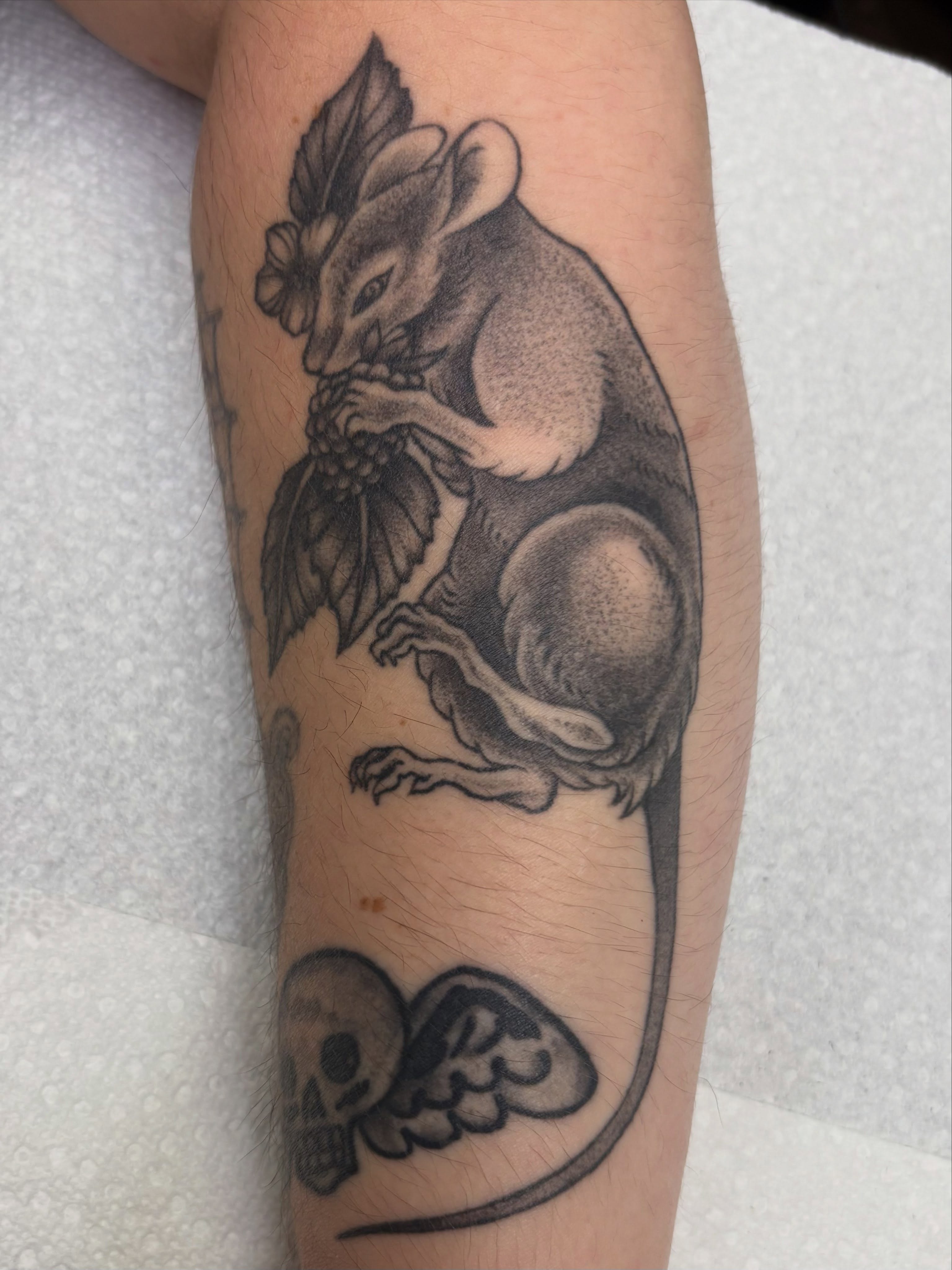 Rat with grapes realism tattoo on the forearm by Jamie Yuu, Minneapolis, Minnesota