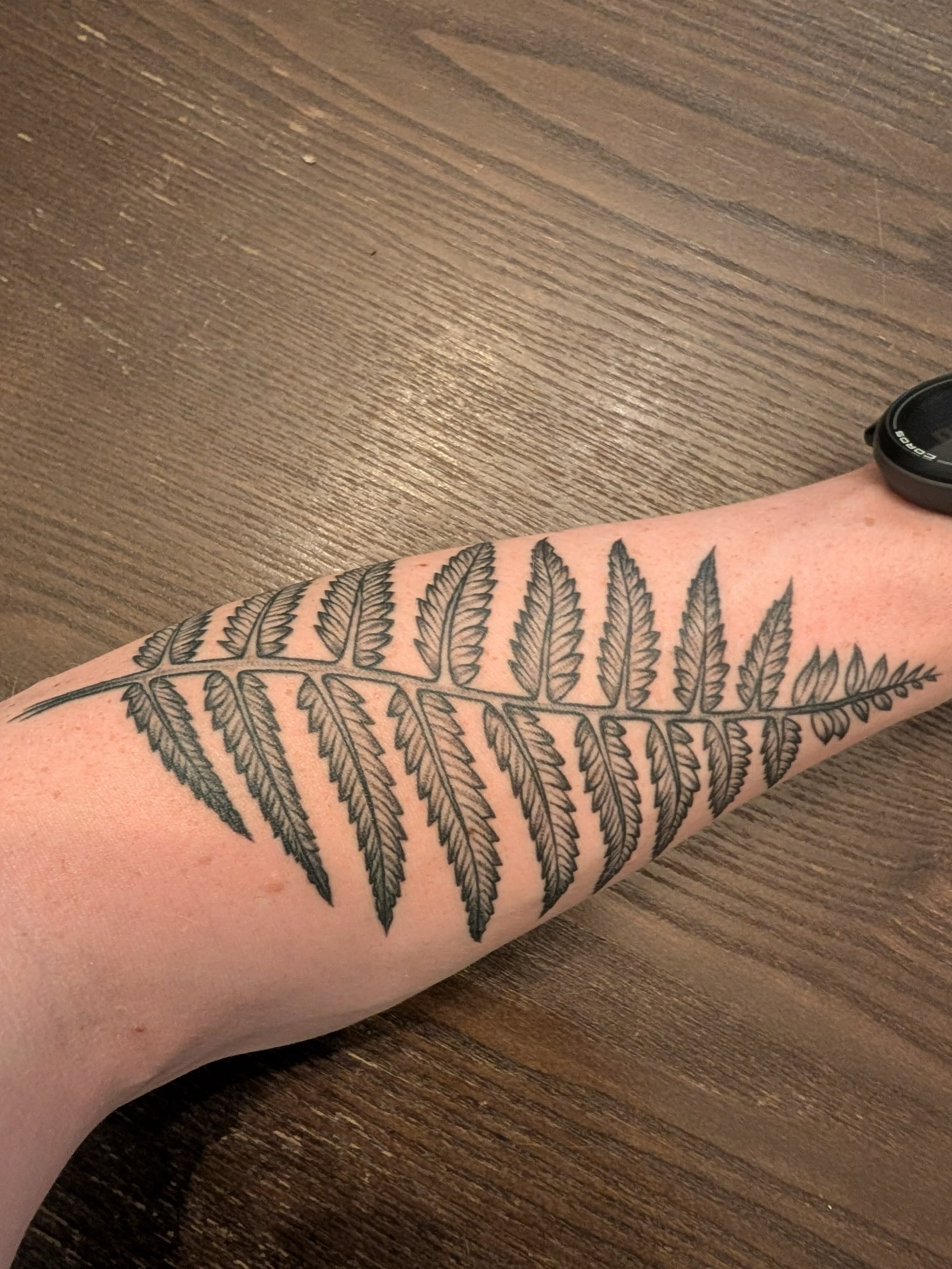Fern leaf black and grey tattoo on the forearm by Jamie Yuu, Minneapolis, Minnesota