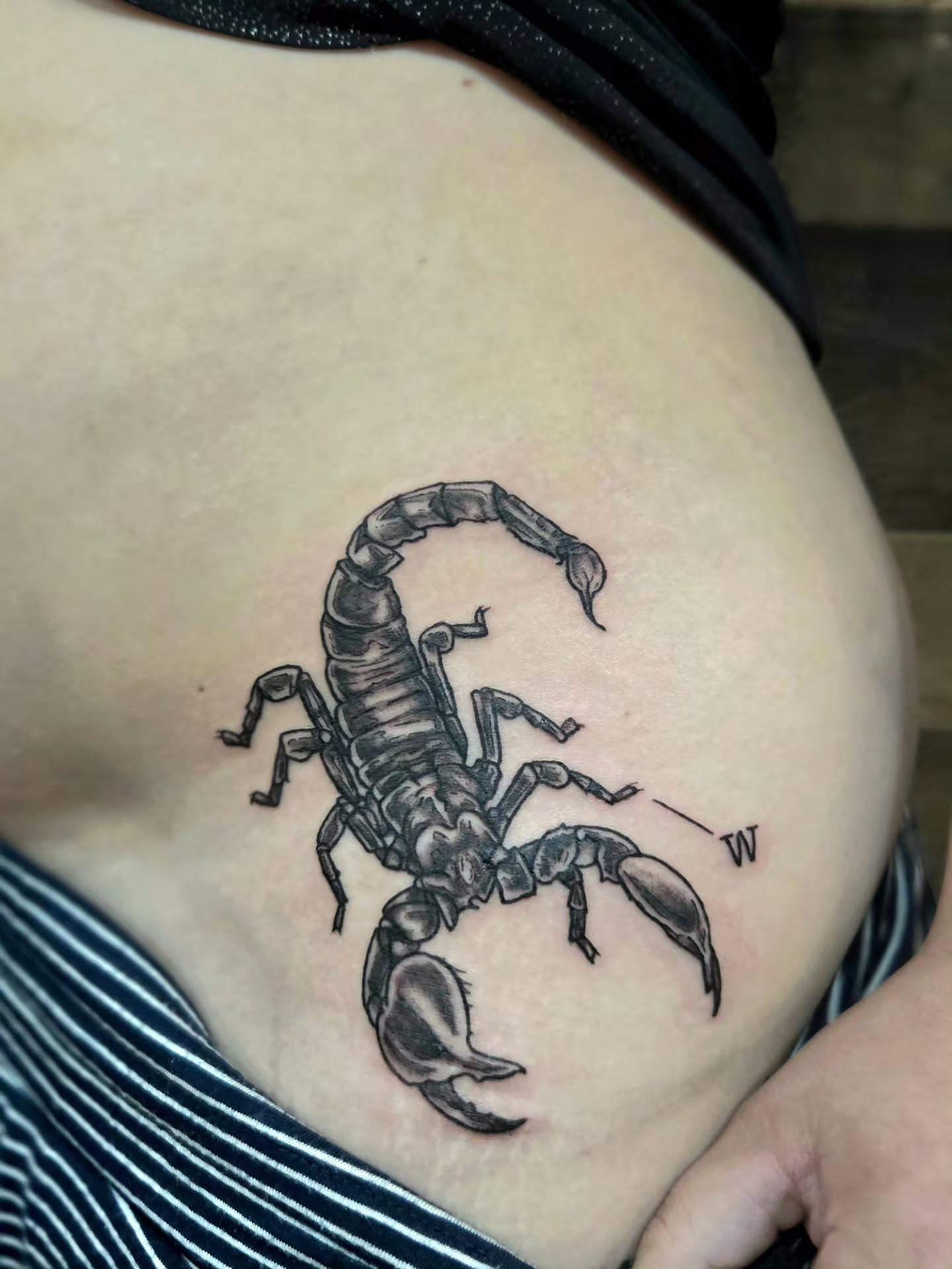 Scorpion black and grey tattoo on the ribs by Courtney, Lakewood, Ohio