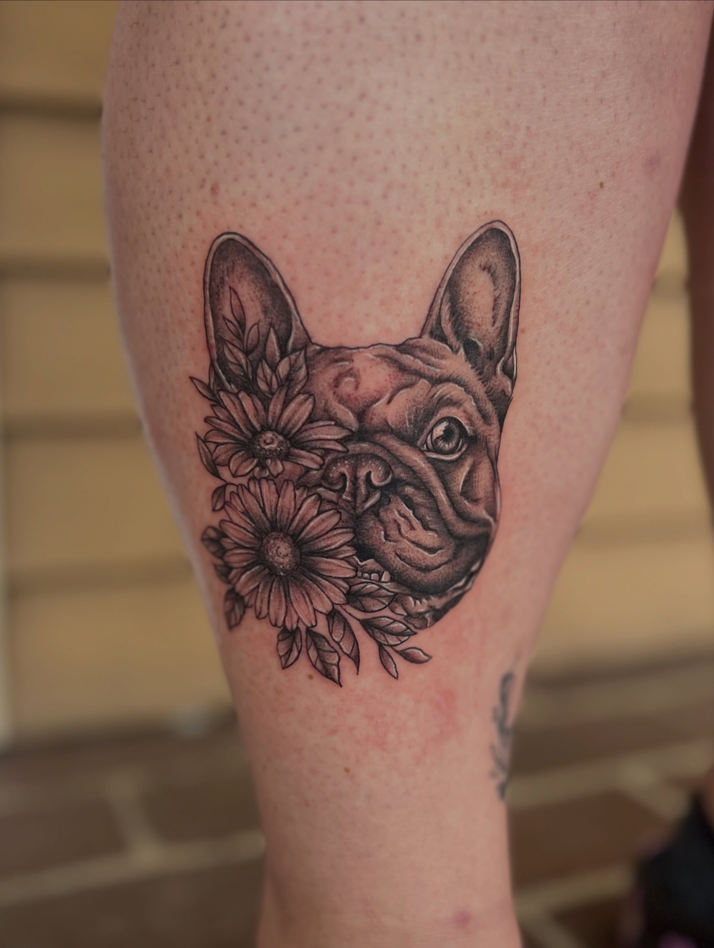 French bulldog with flowers realism tattoo on the thigh by Jai Woods