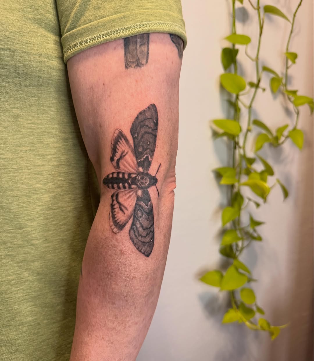 Moth black and grey tattoo on the forearm by Enda 🧚🏻‍♀️