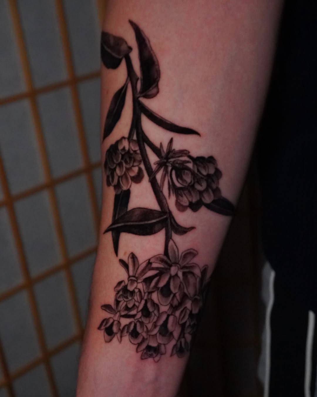 Flowers black and grey tattoo on the forearm by hallow ☣︎ tattoo artist, Philadelphia, Pennsylvania