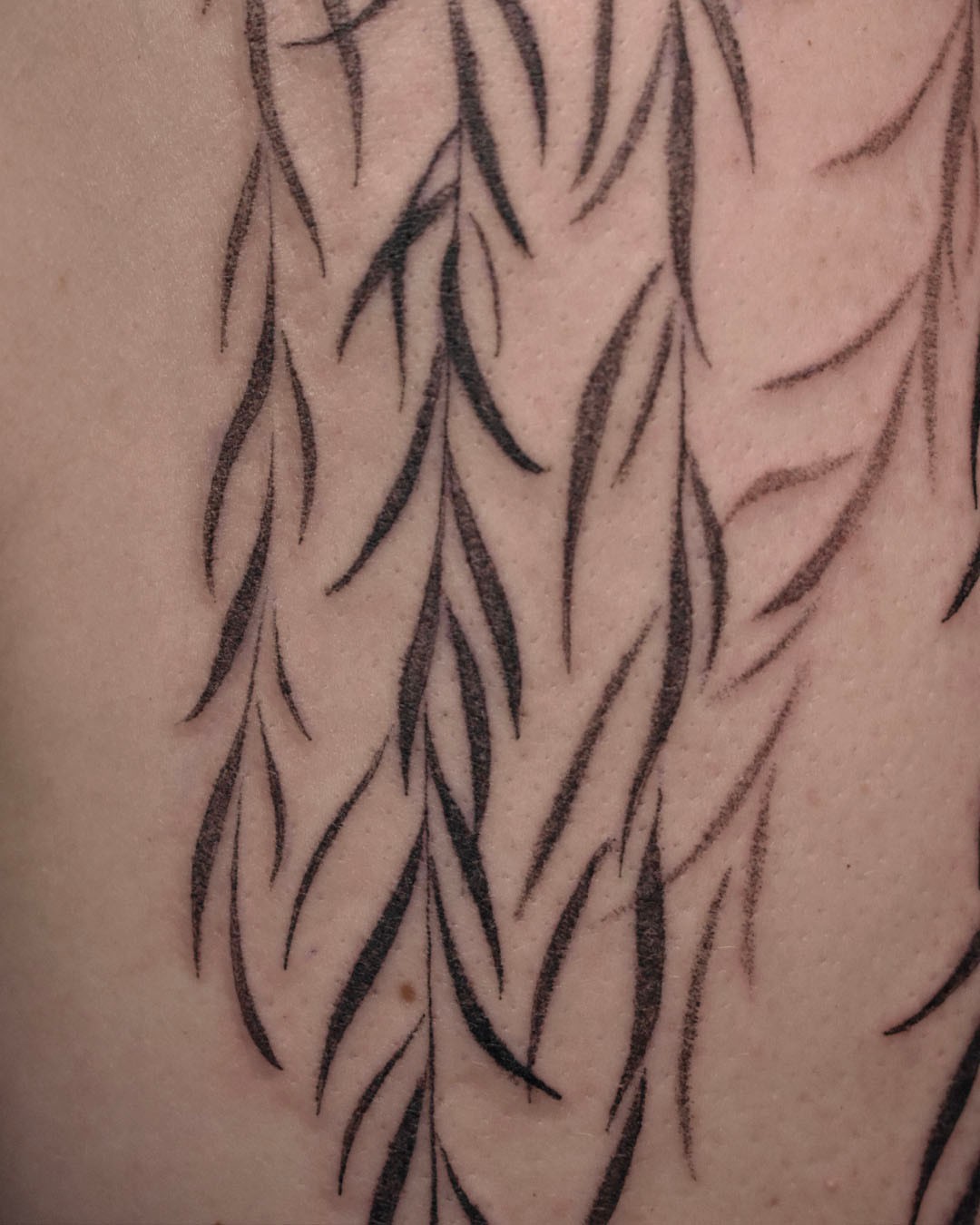 Willow branches black and grey tattoo on the upper arm by Erin Isaacs