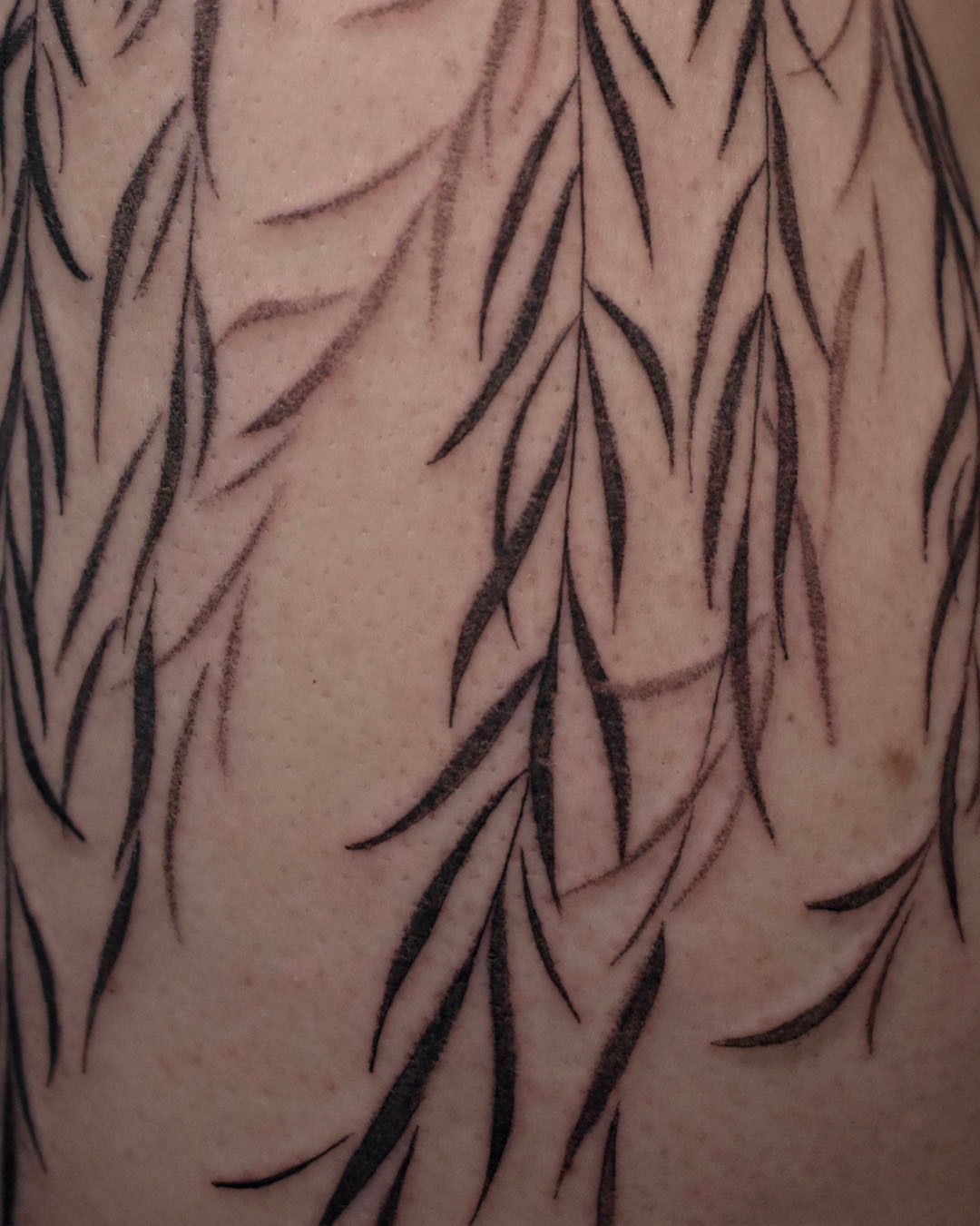 Willow branches black and grey tattoo on the forearm by Erin Isaacs