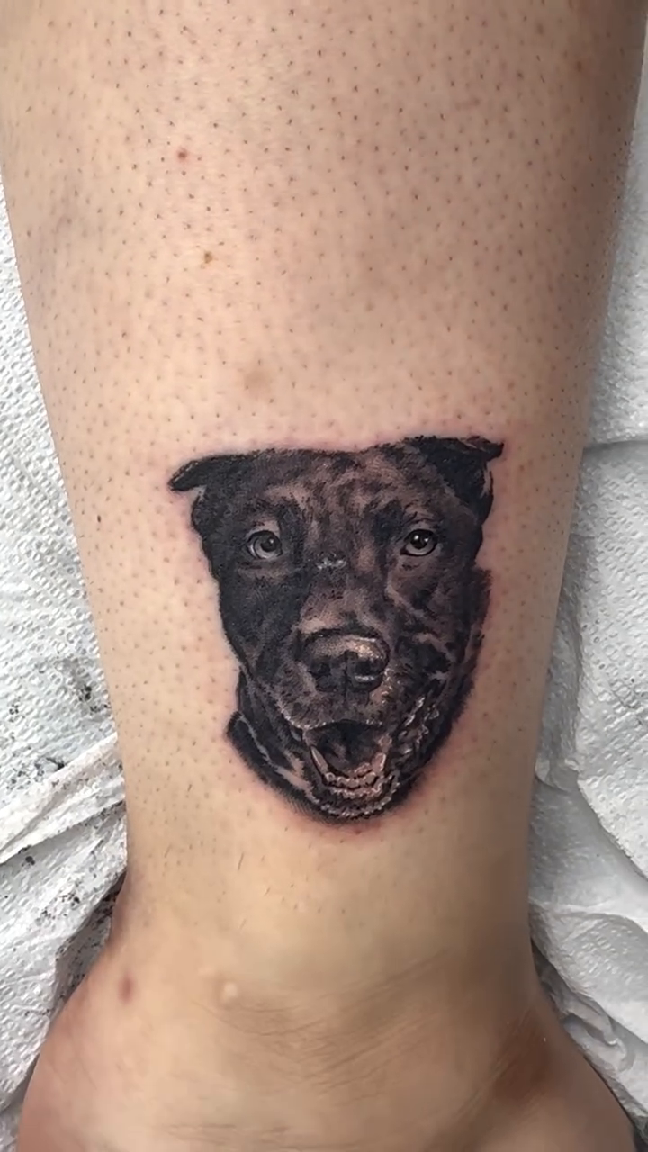Dog portrait realism tattoo by Steve Bishov