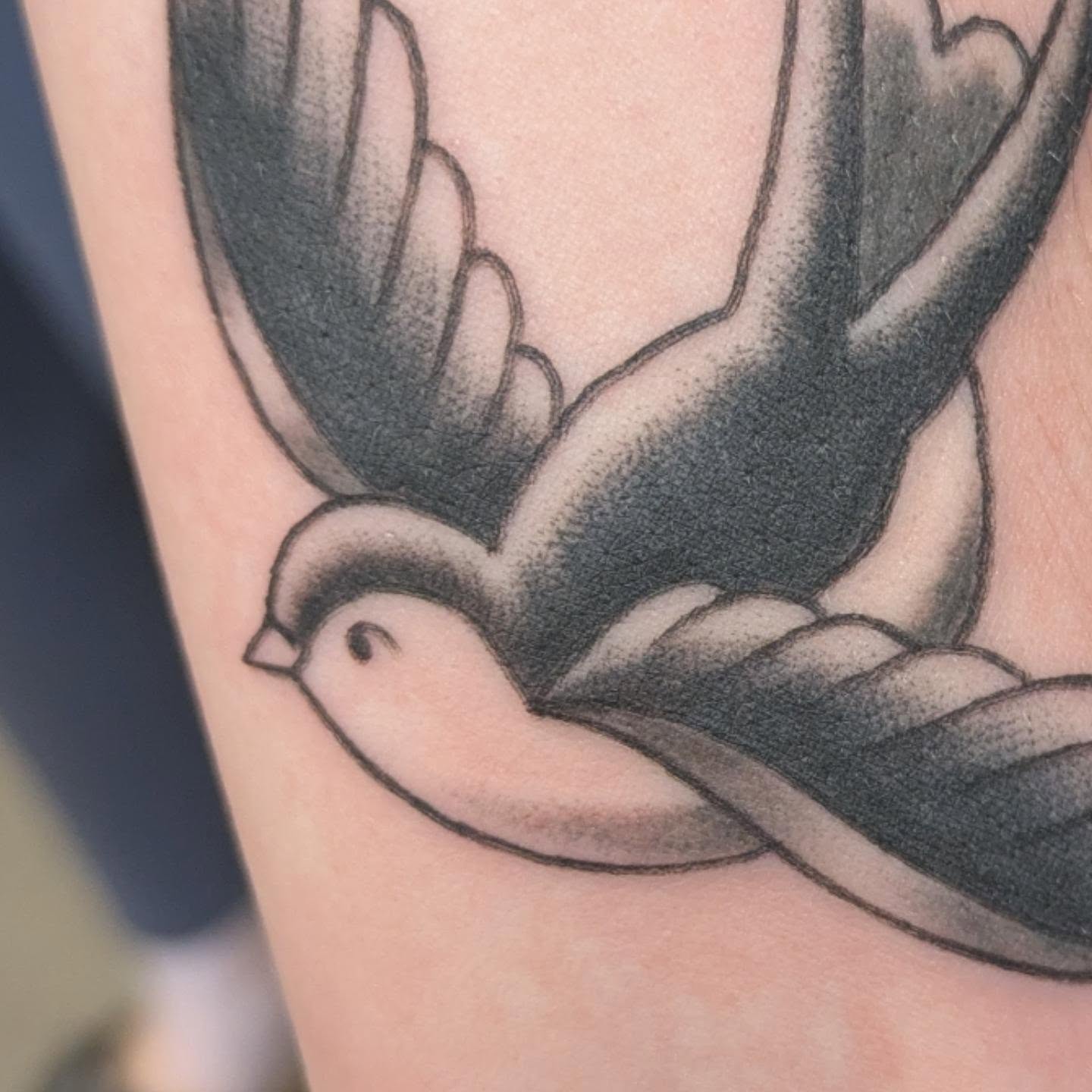 Swallow black and grey tattoo on the forearm by ♡ Cora ♡
