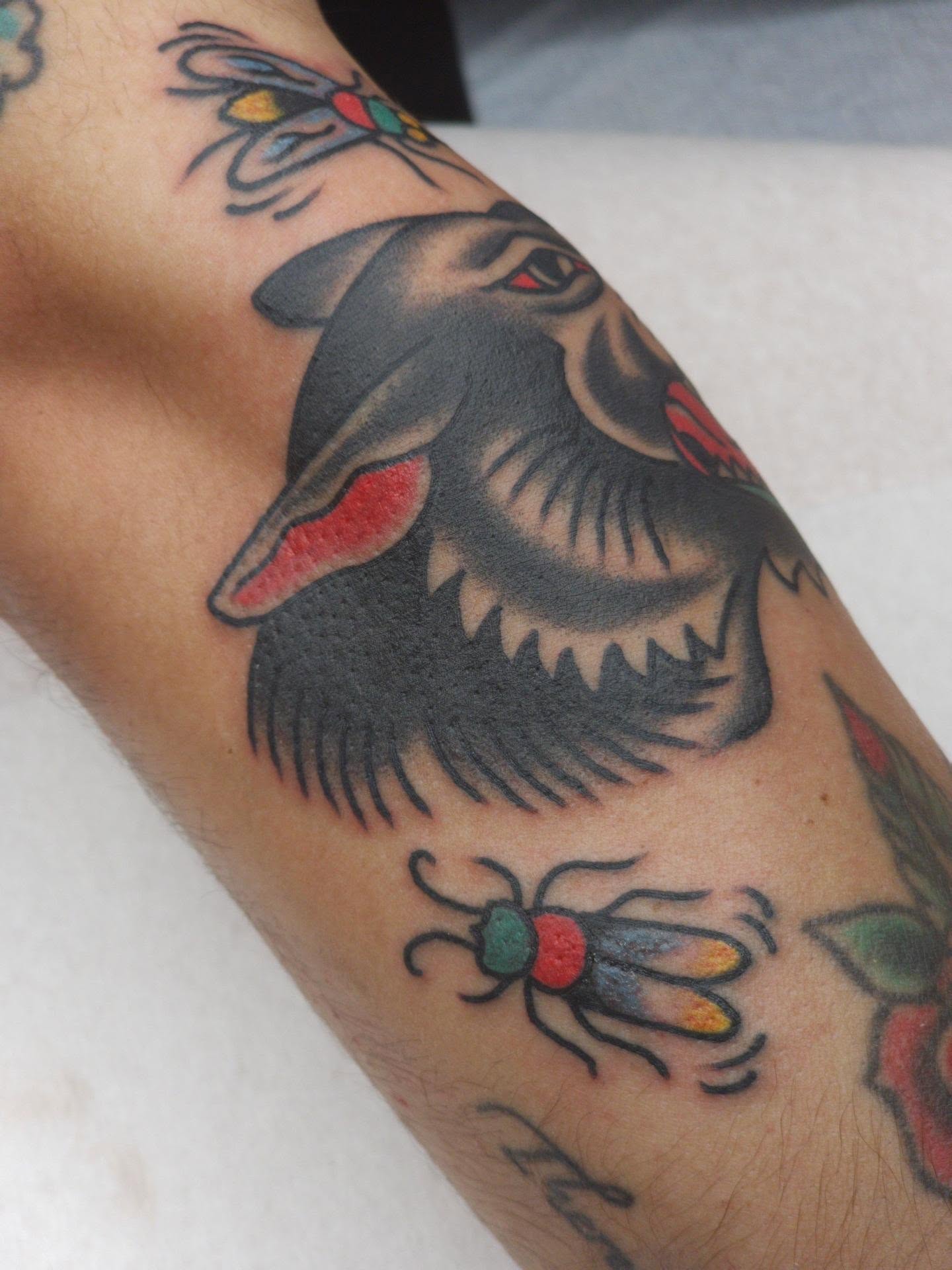 Shark American traditional tattoo on the forearm by Clayton Harpole, Jefferson, Oregon