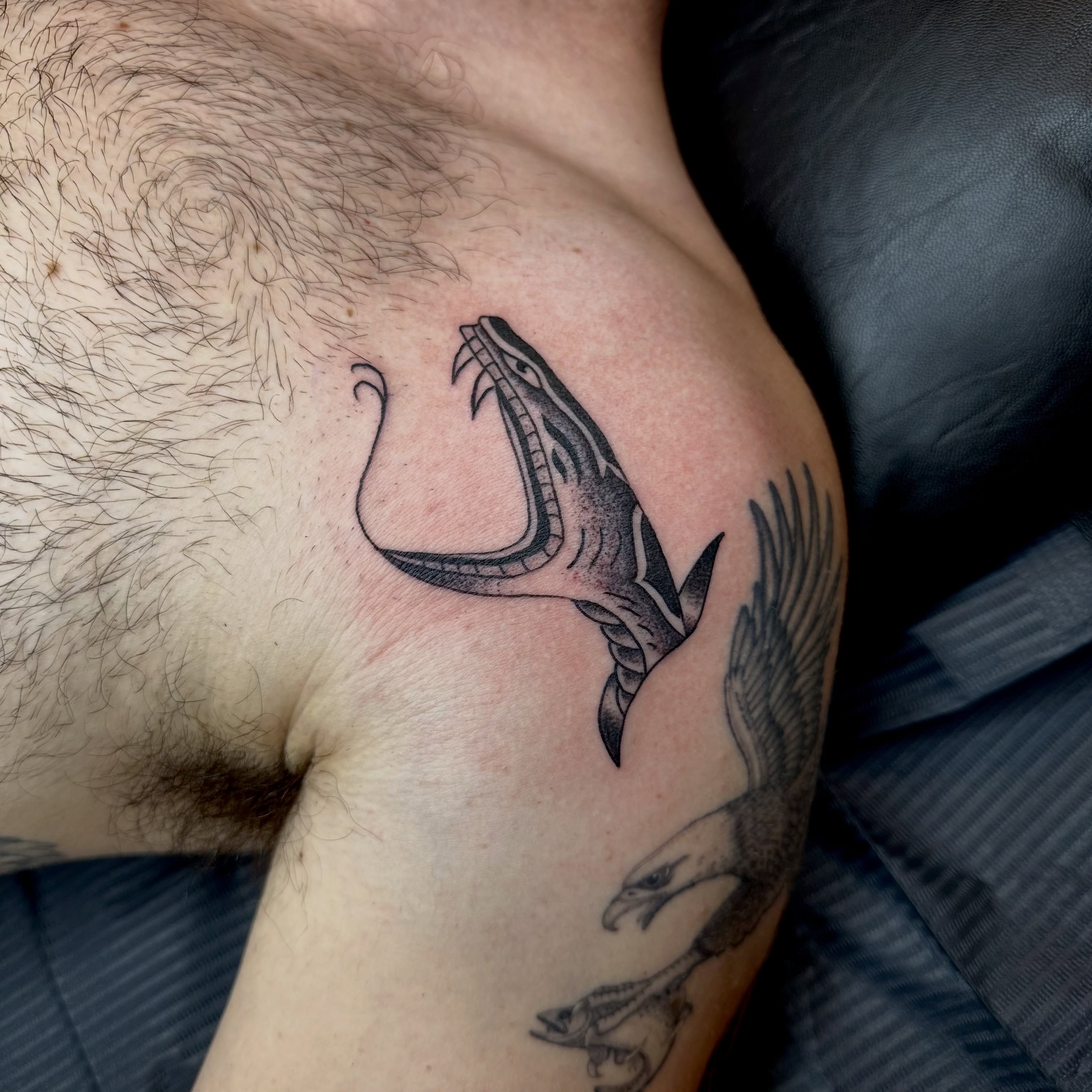 Dragon and bird black and grey tattoo on the shoulder by teddy, Portland, Oregon