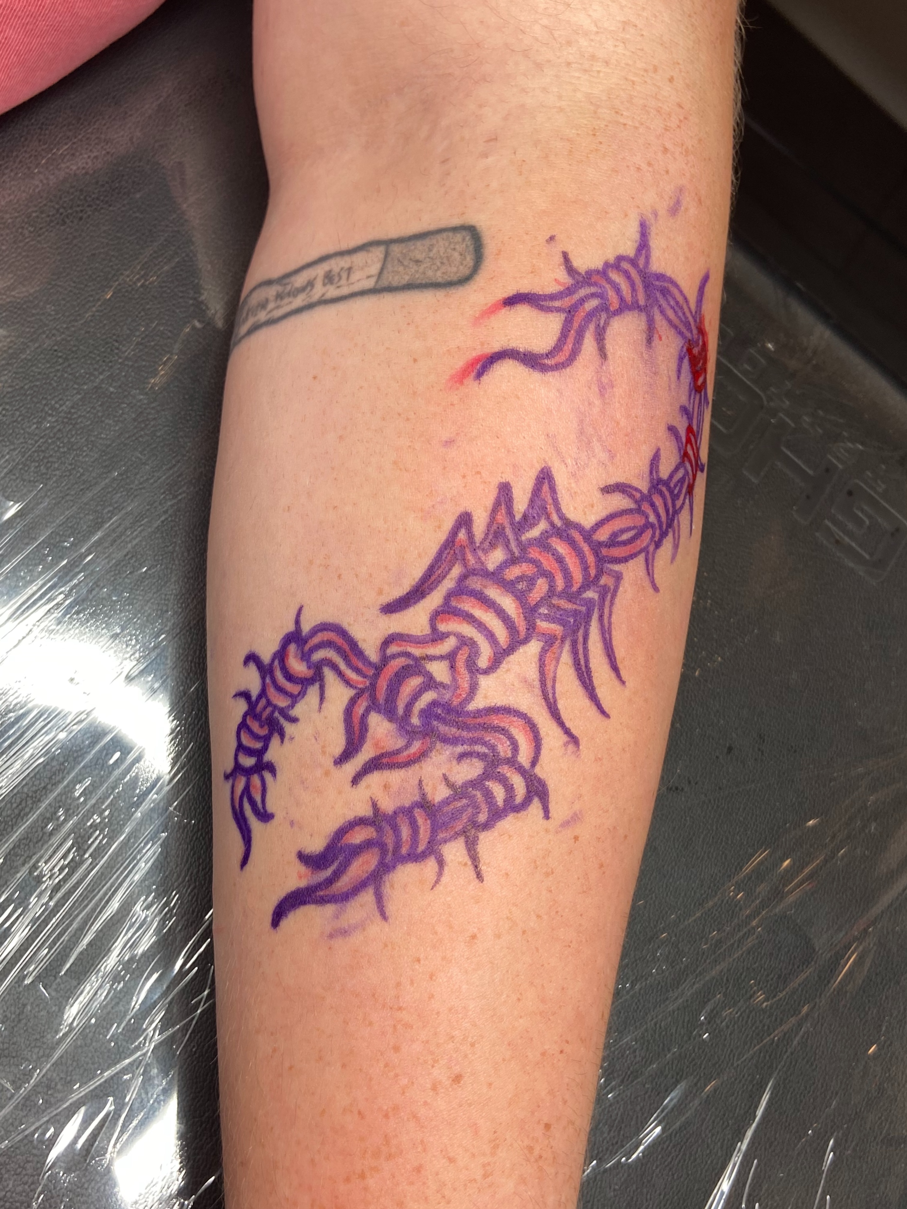 Scorpion new school tattoo on the forearm by Derek Krueger Portland Tattoo Artist, Portland, Oregon