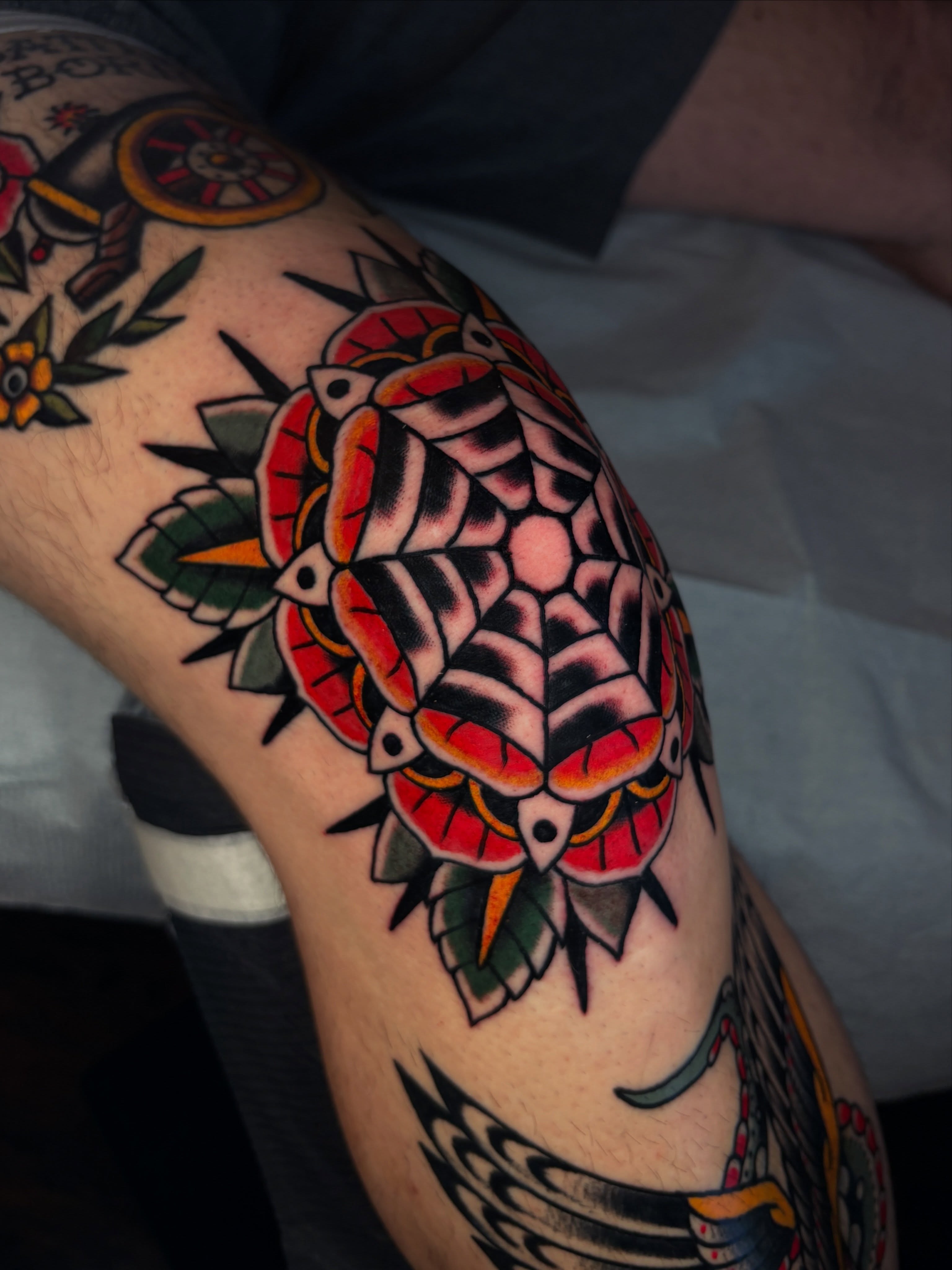 Turtle American traditional tattoo on the forearm by Max Klapp, Austin, Texas