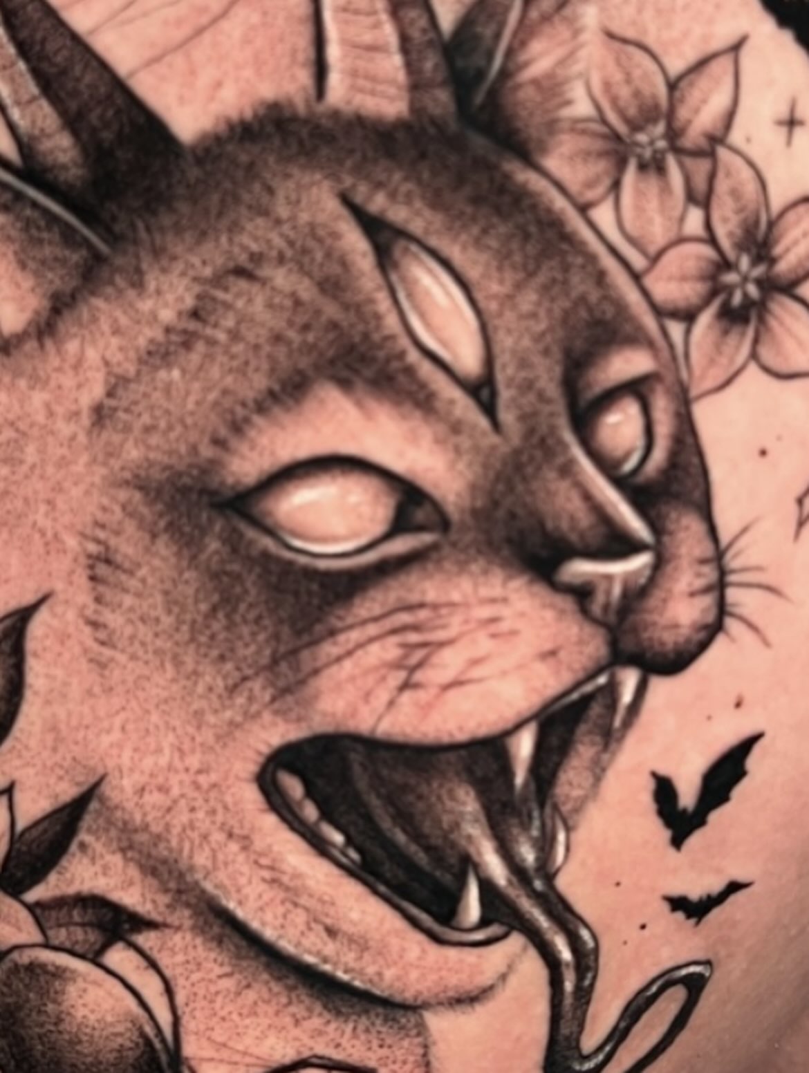 Cat realism tattoo on the torso by π·ππ πππππ π·οΈ