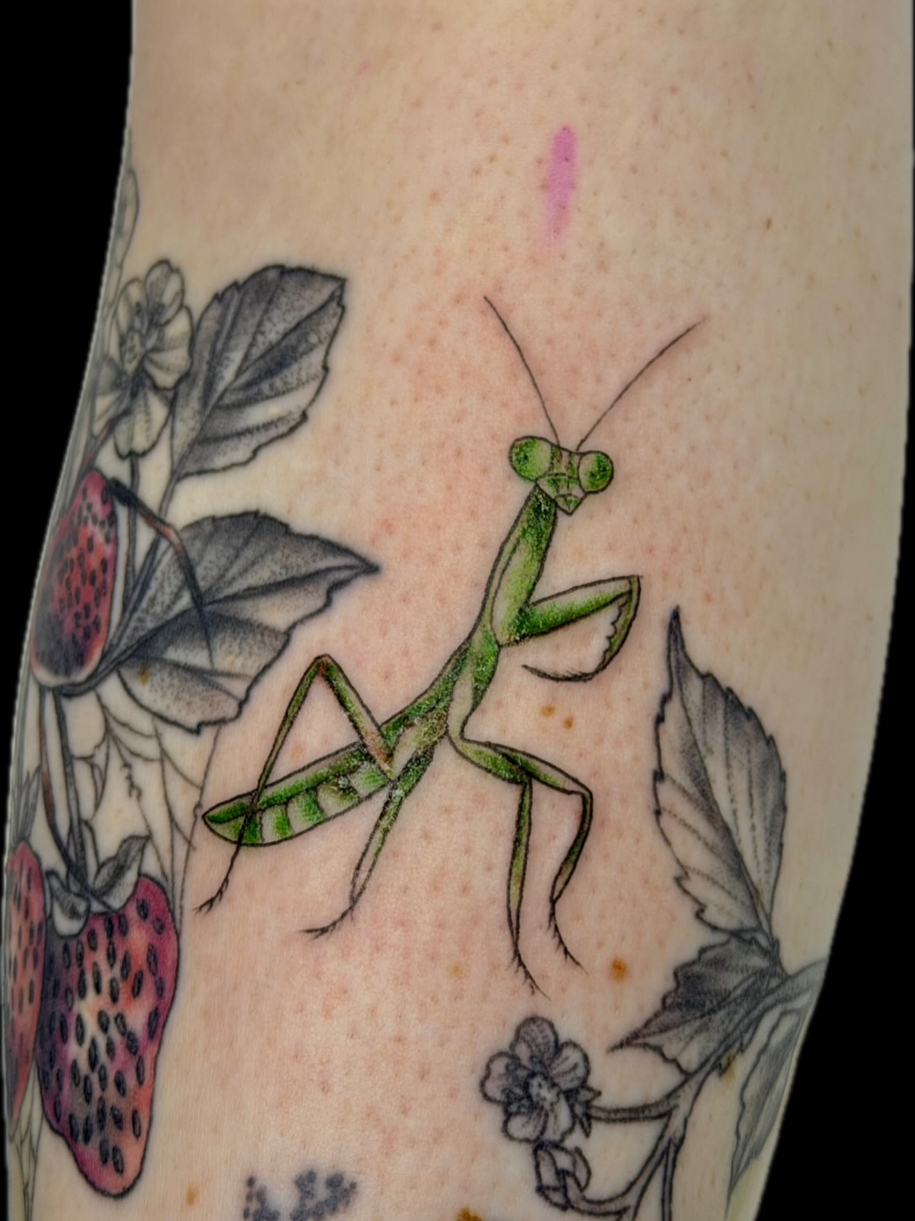 Tattoo by @_theinkwitch_ — realism
