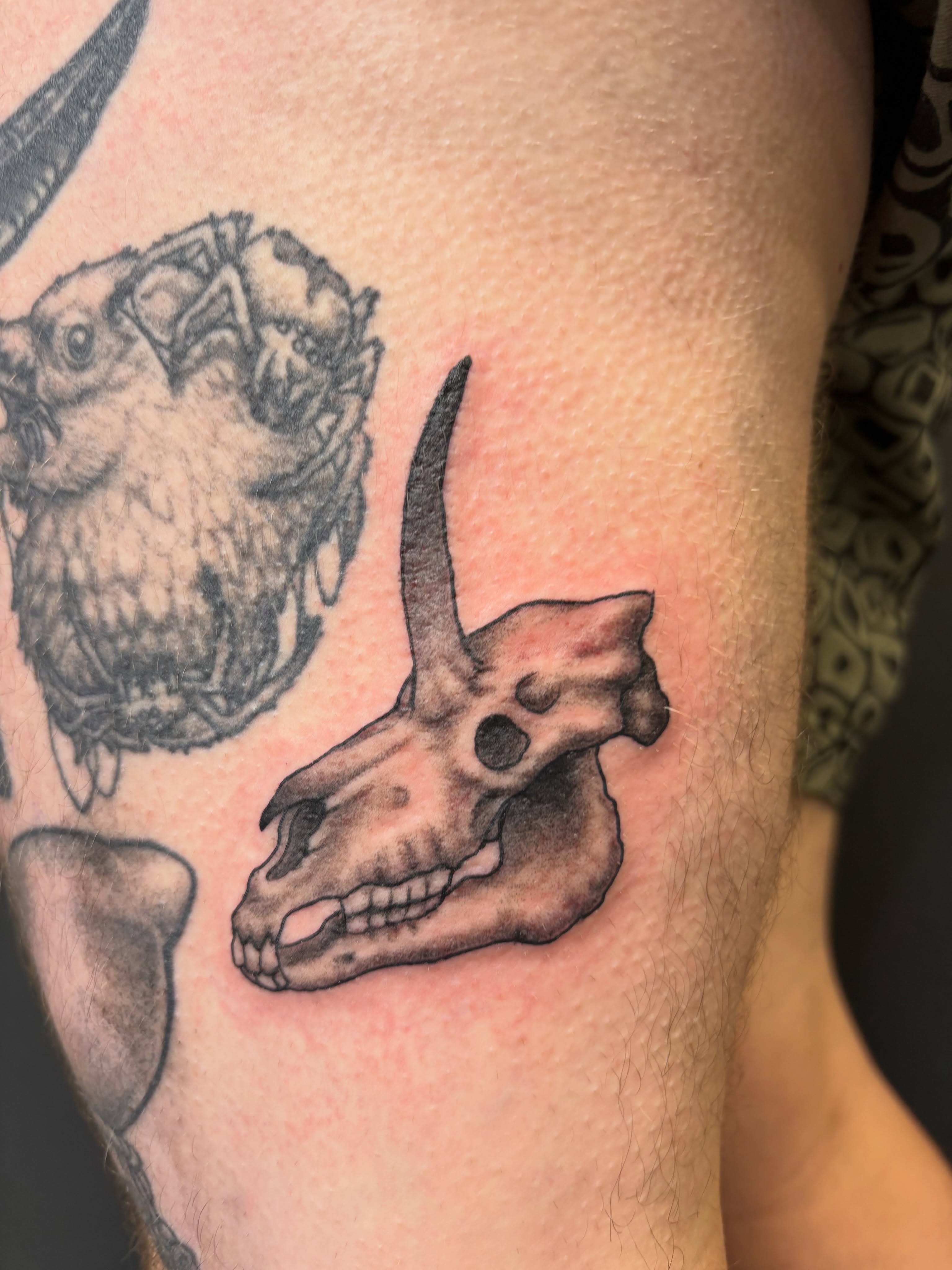 Skull black and grey tattoo on the forearm by Noah Blum