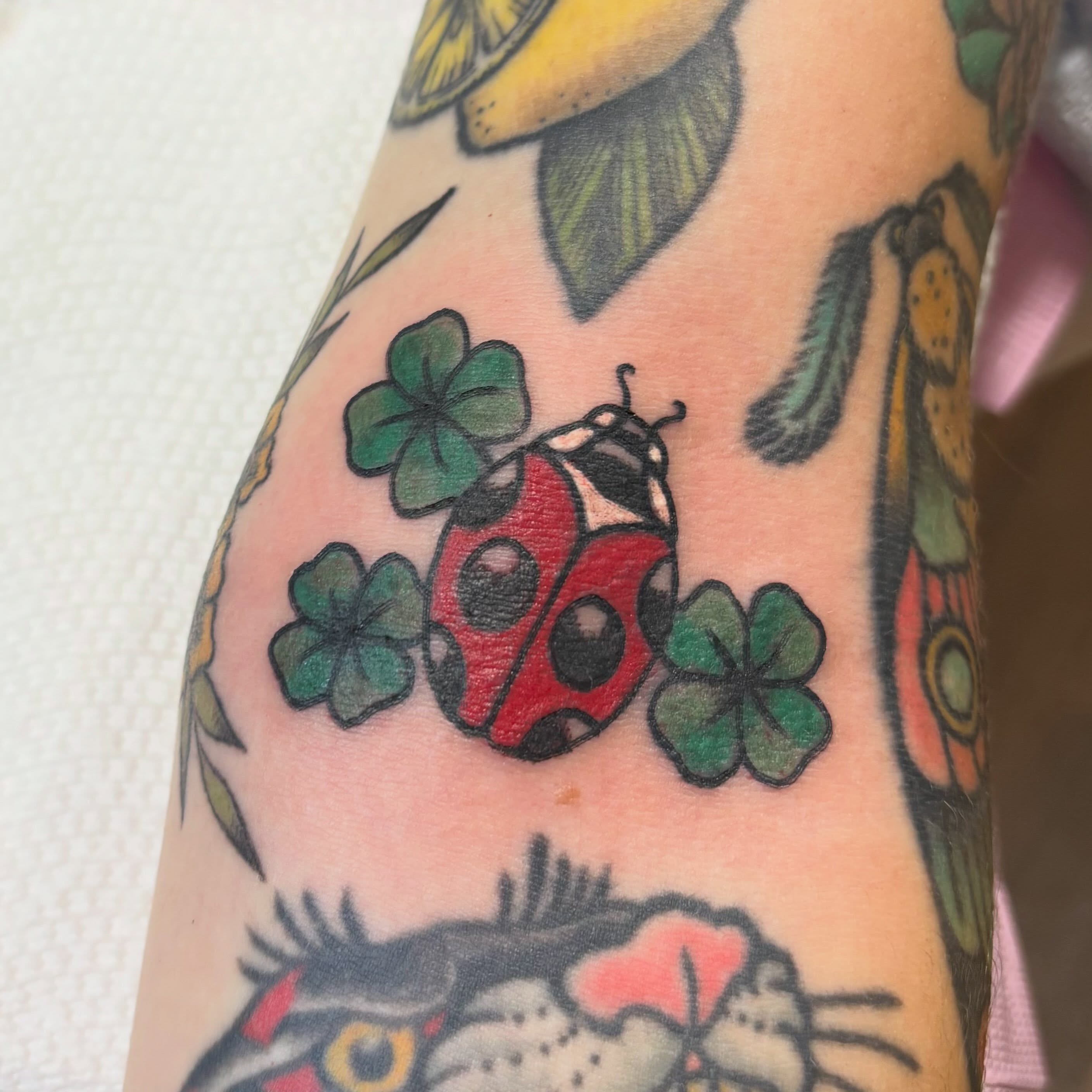 Tattoo by @rachel.cool — american_traditional