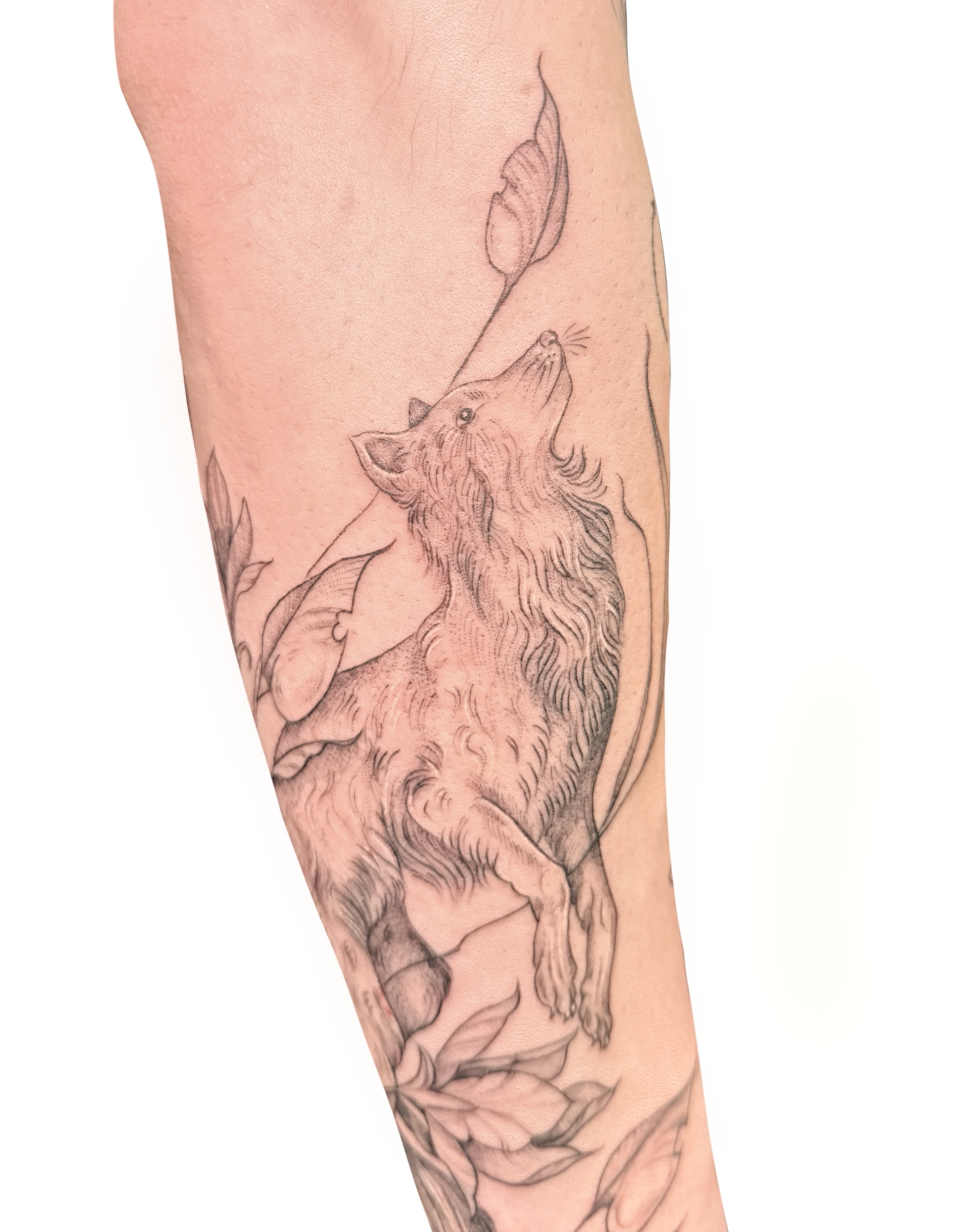Howling wolf black and grey tattoo on the forearm by Fionna, Seattle, Washington