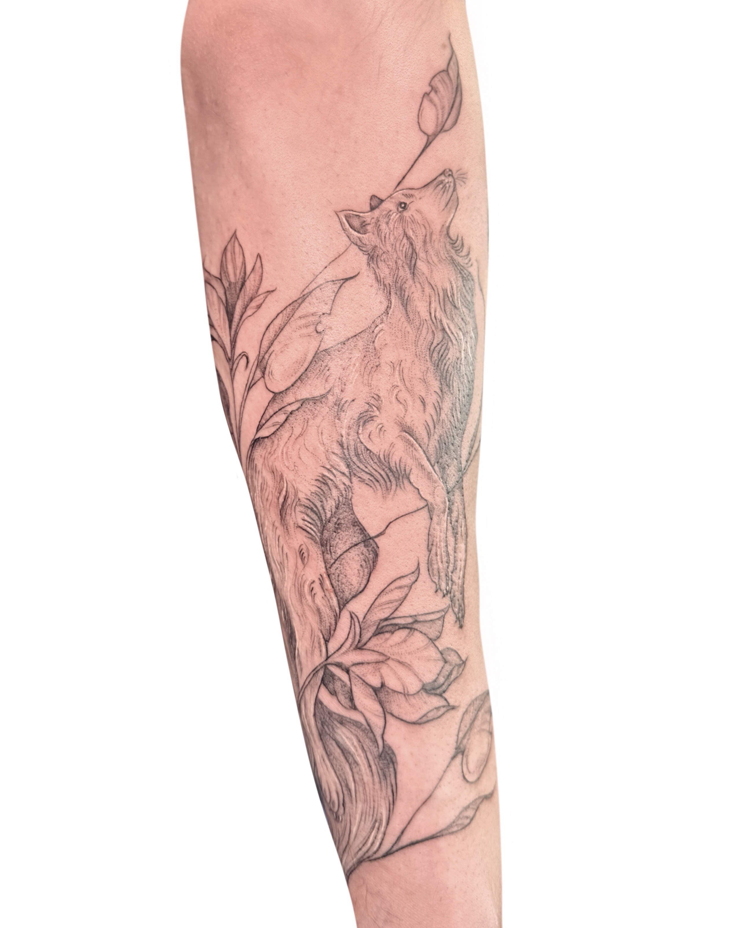 Wolf black and grey tattoo on the forearm by Fionna, Seattle, Washington