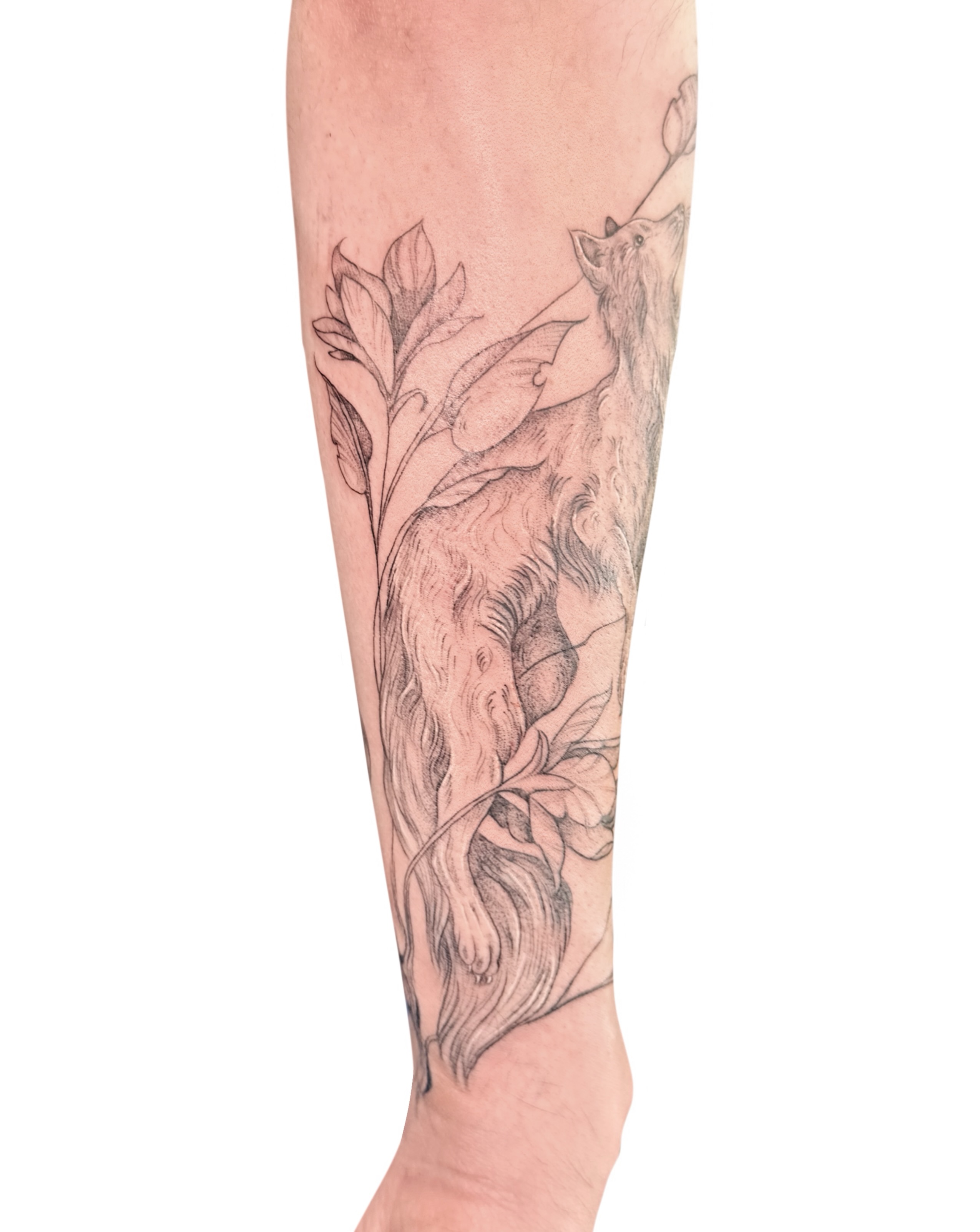 Fox and flowers black and grey tattoo on the forearm by Fionna, Seattle, Washington
