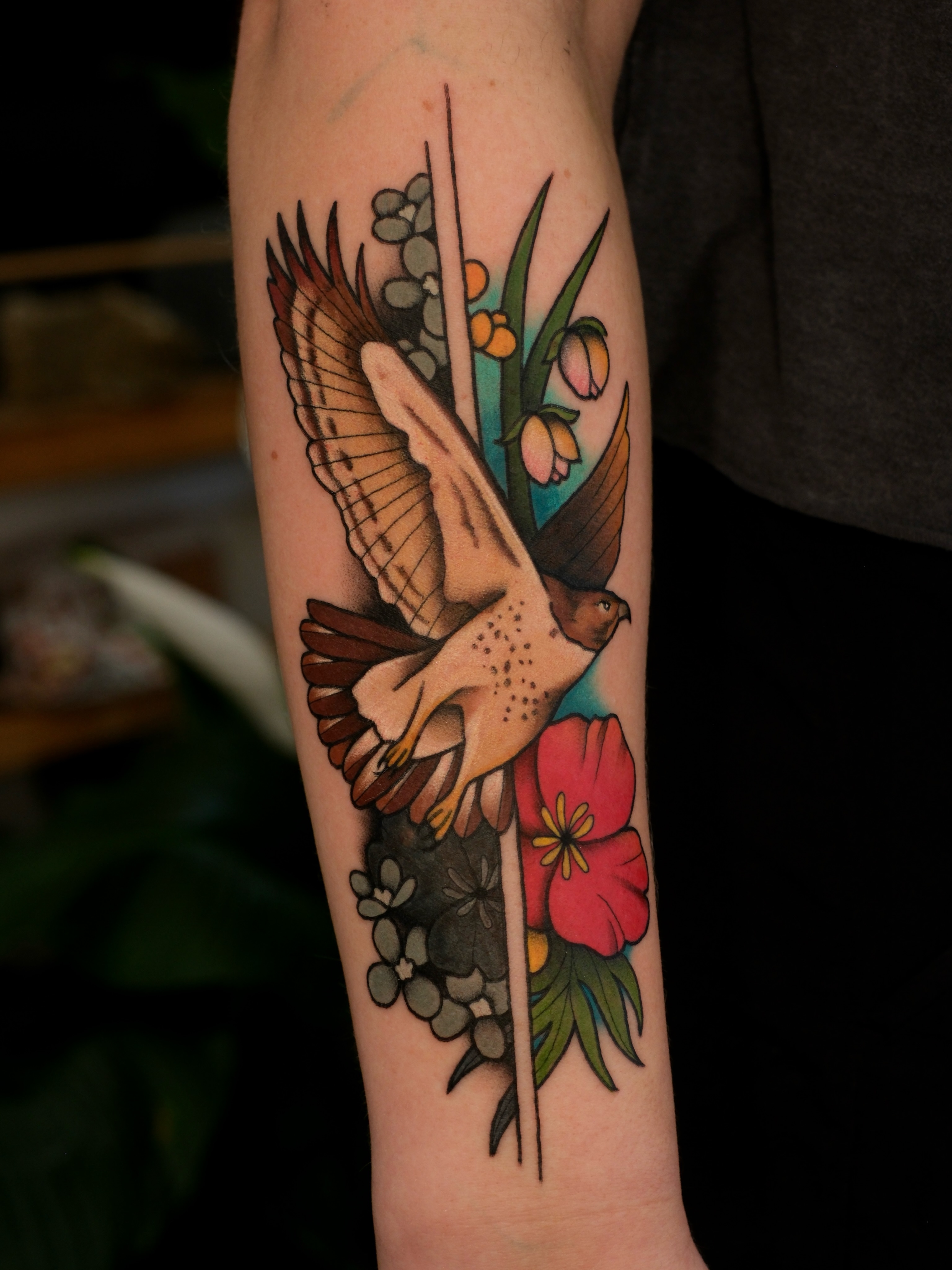 Hawk and flowers American traditional tattoo on the forearm by Mallory Murphy, Denton, Texas