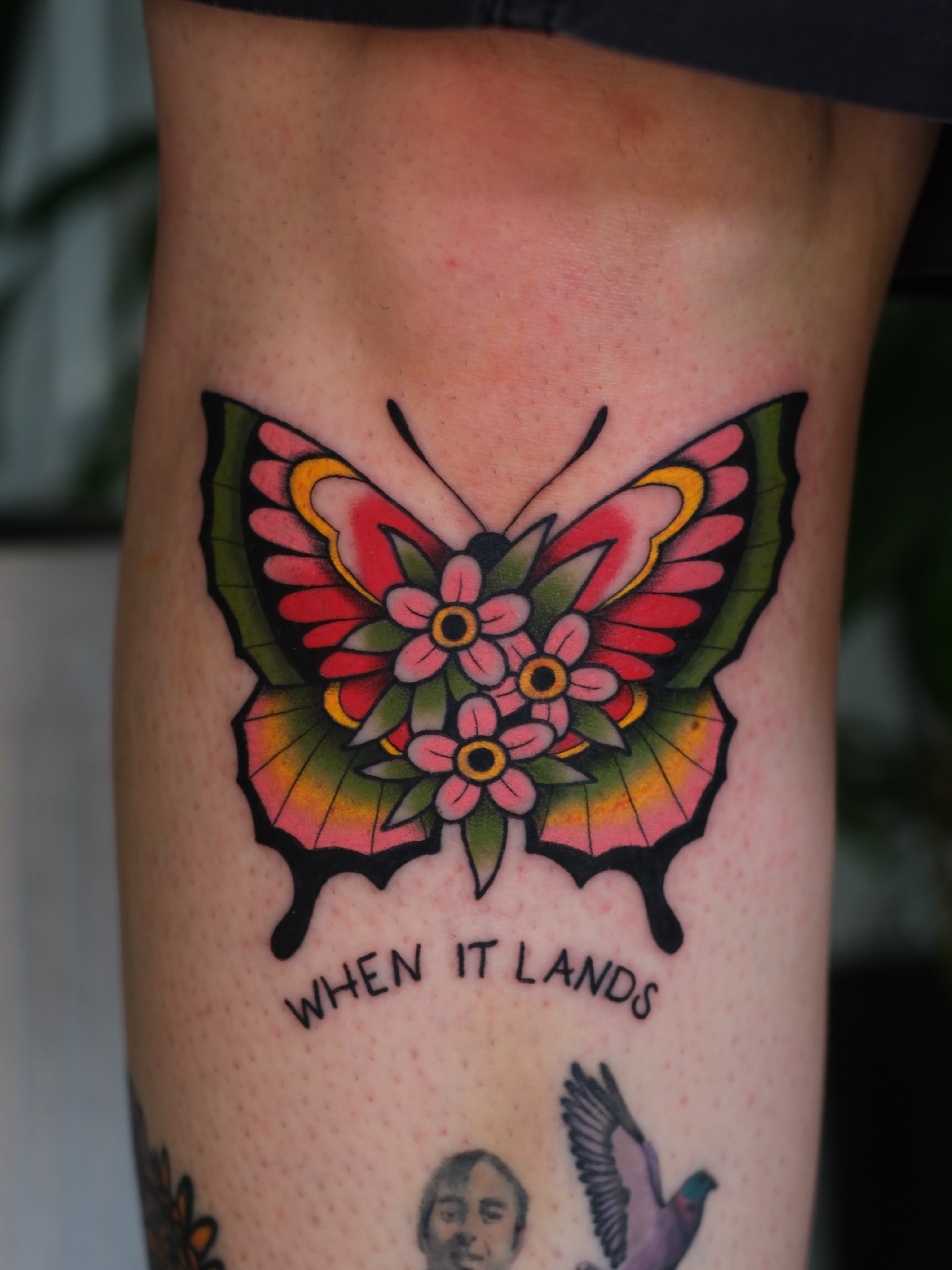 Butterfly American traditional tattoo on the forearm by Mallory Murphy, Denton, Texas