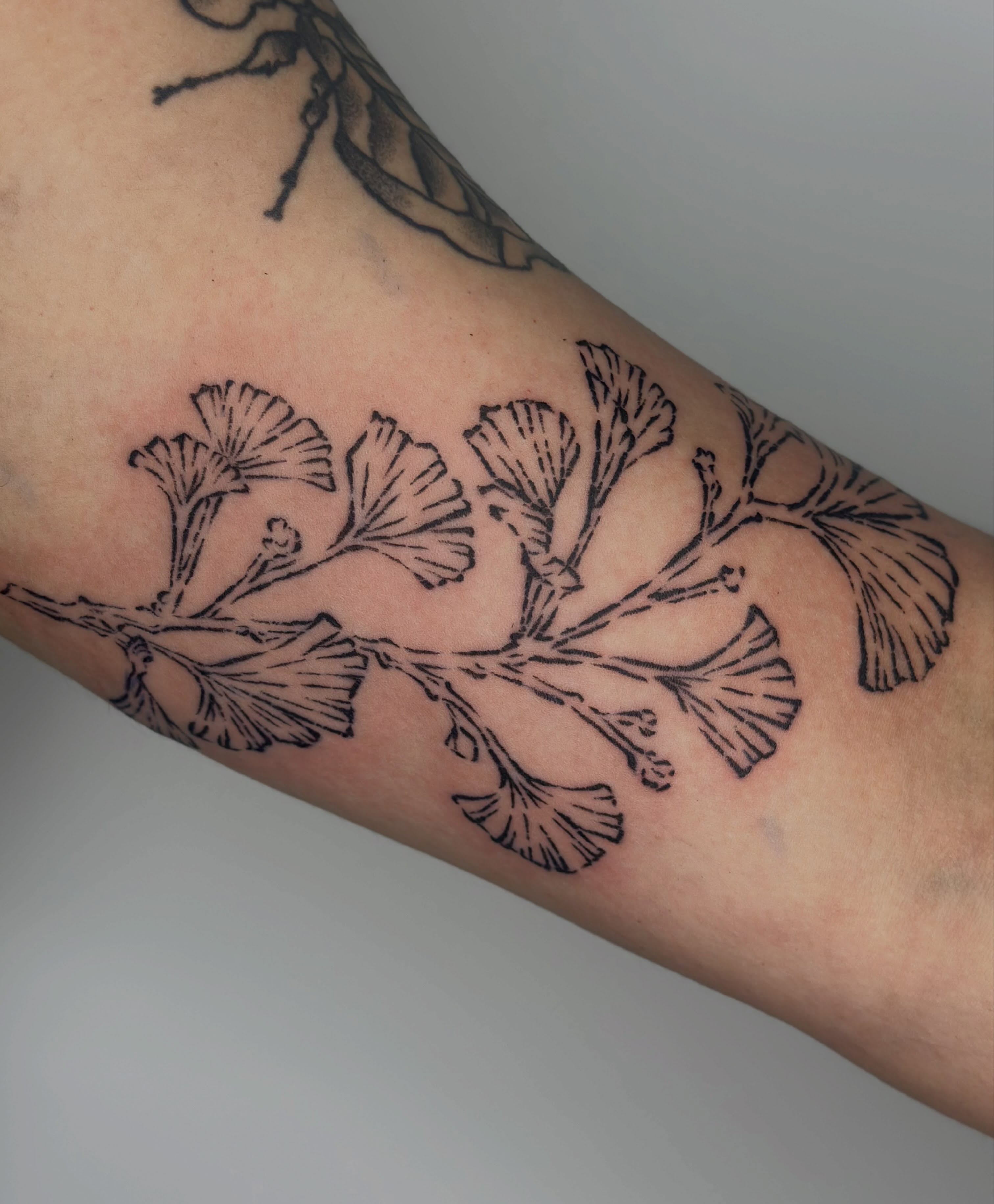 Gingko leaves black and grey tattoo on the forearm by edie ☆ kansas tattoo artist, Lawrence, Kansas