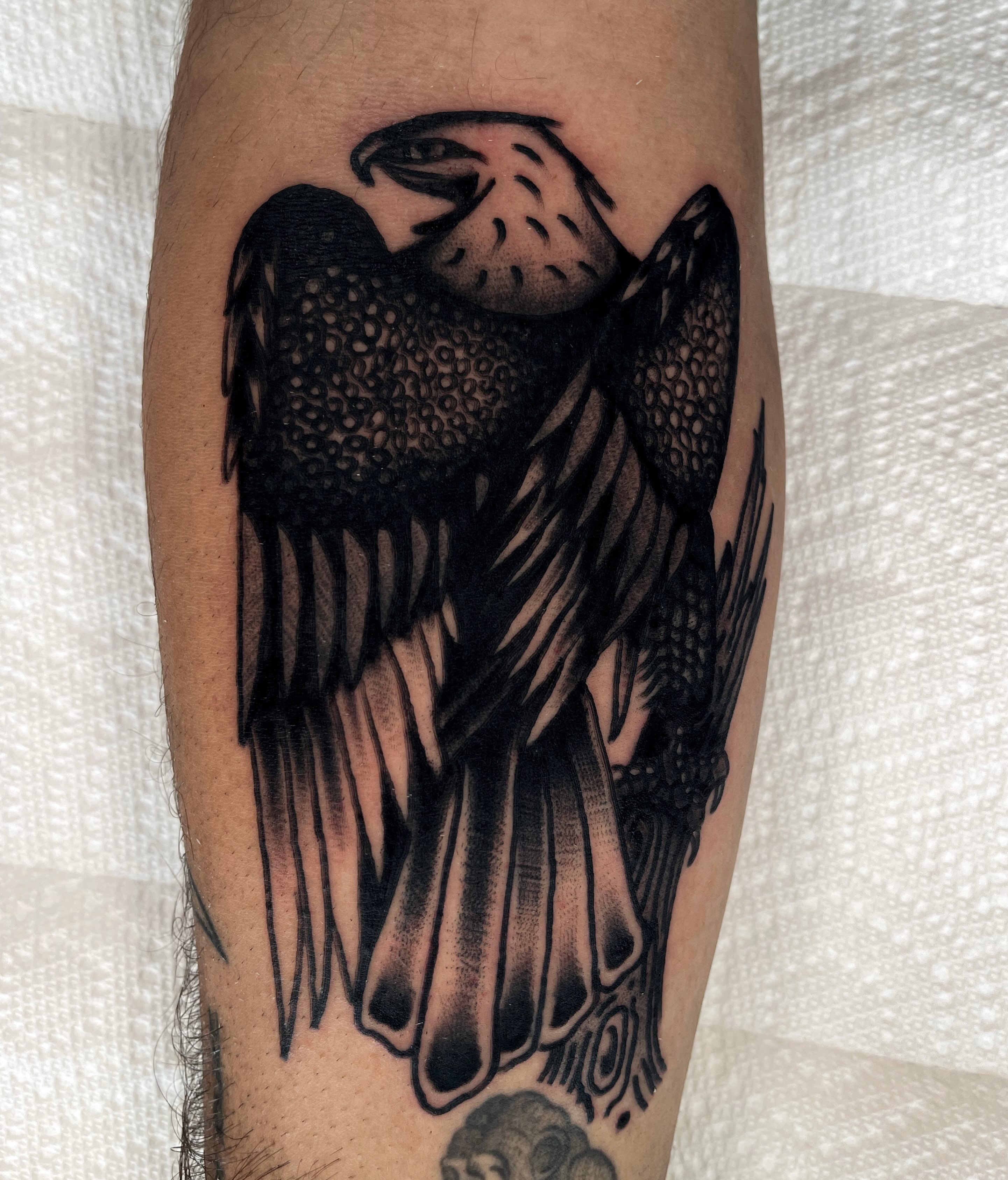 Owl dotwork tattoo on the forearm by Devyn Hightower