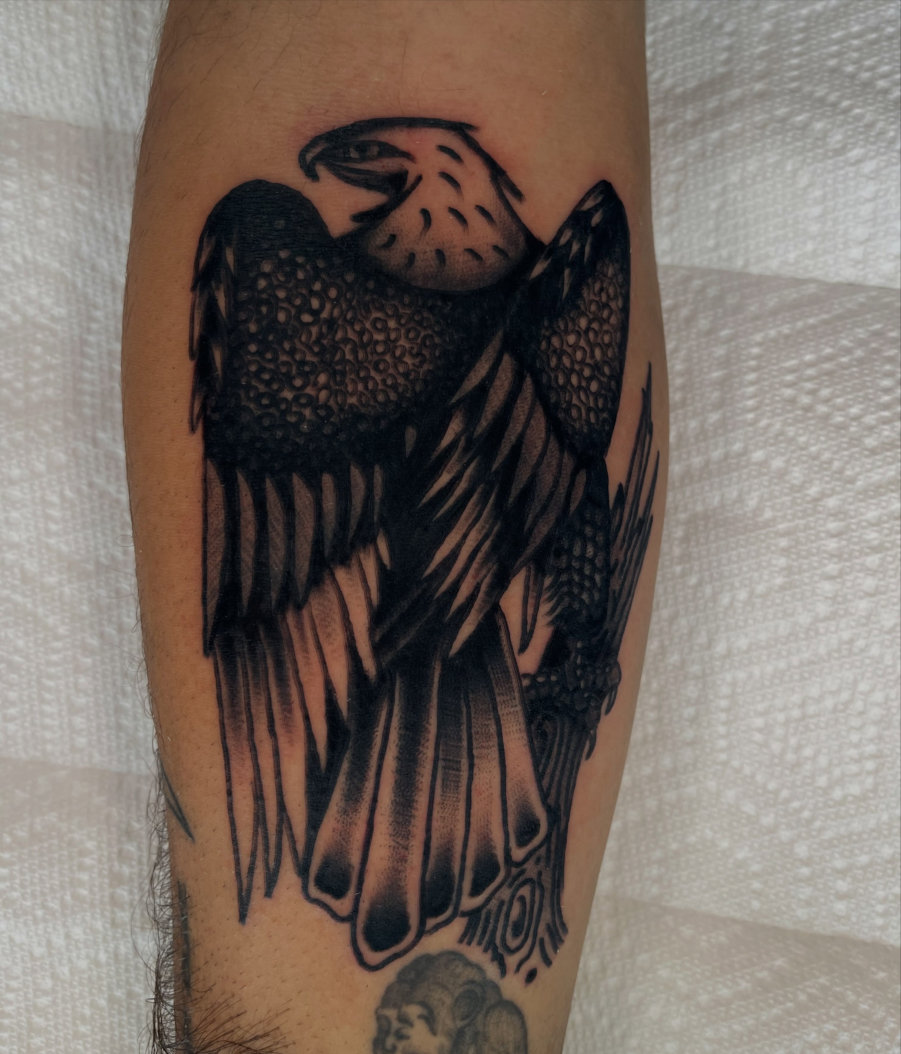 Eagle black and grey tattoo on the forearm by Devyn Hightower