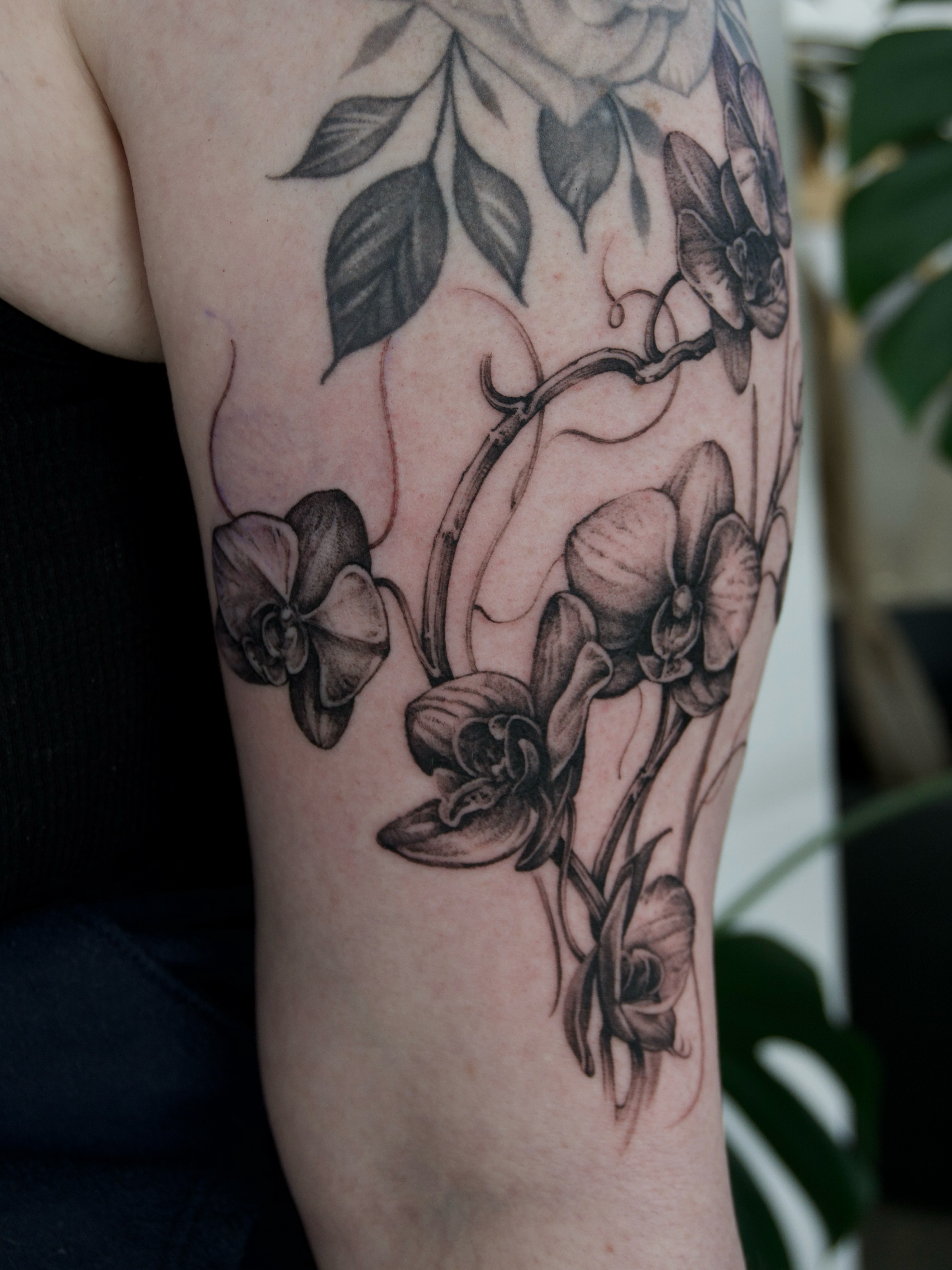 Tattoo by @oori_tattoo — black_and_grey