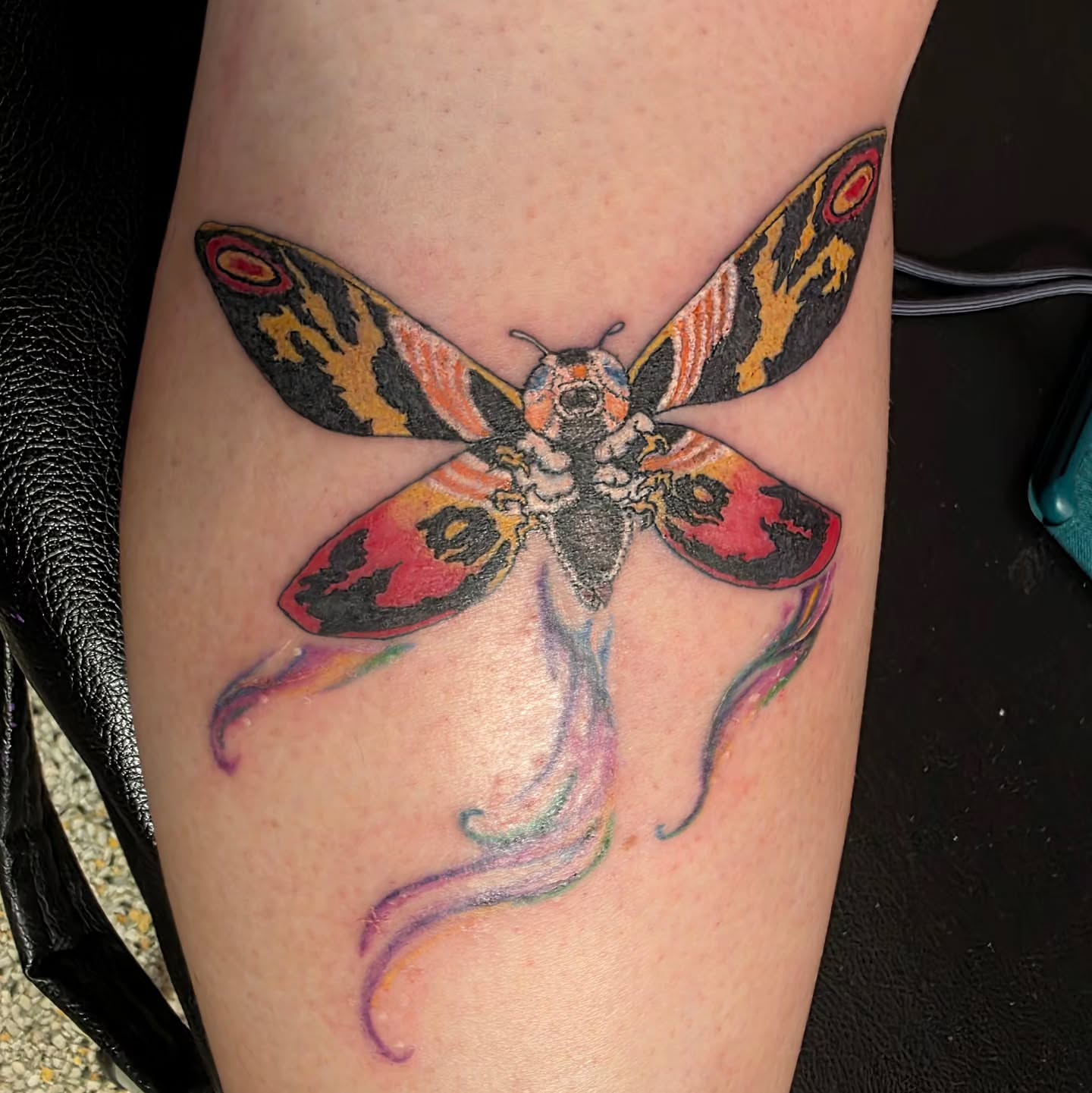 Moth realism tattoo on the forearm by K.F. Golden