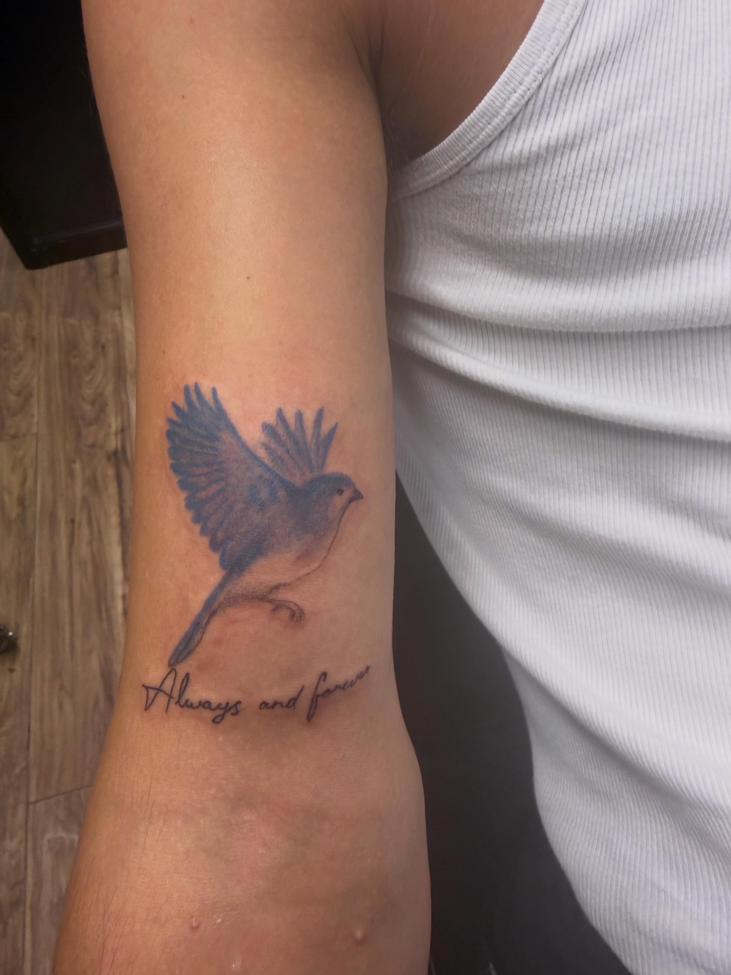 Bird realism tattoo on the forearm by Justin Evans kc ink