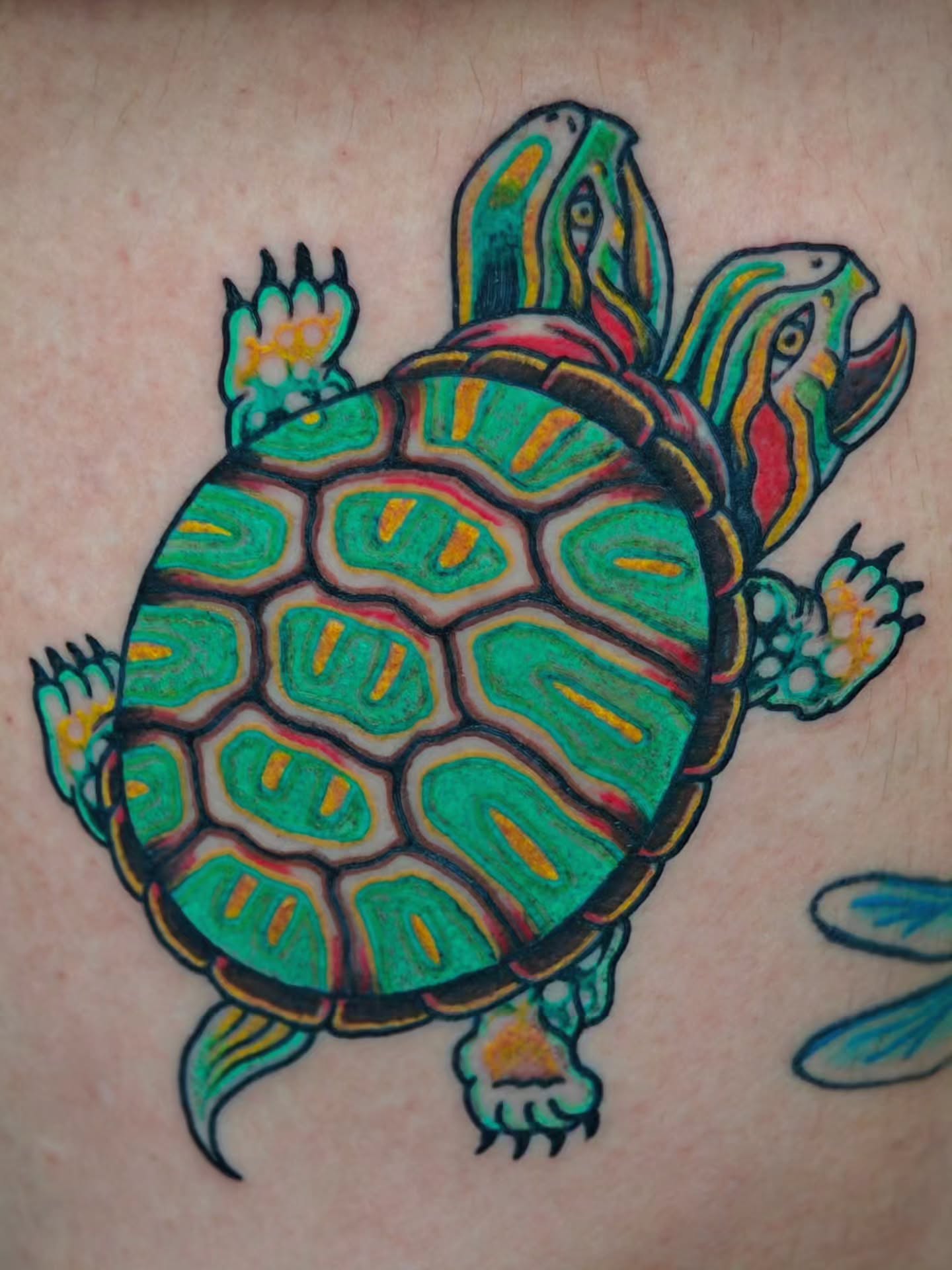 Turtle American traditional tattoo by Tattoos by Reed Blount