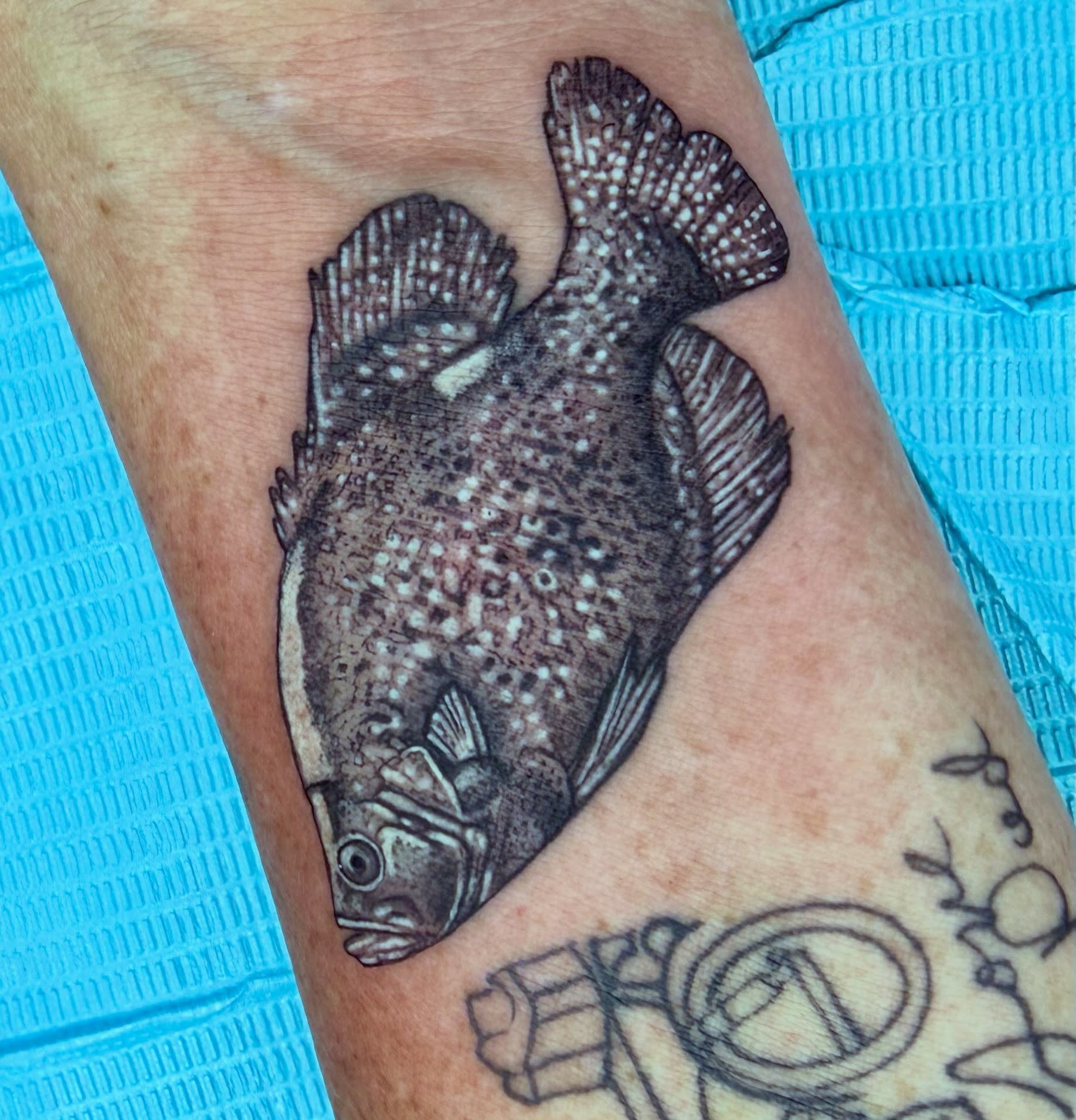 Fish realism tattoo on the forearm by Aaron Hassler, Nashville, Tennessee